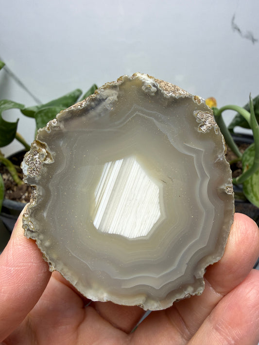 Polished Banded Agate Slice
