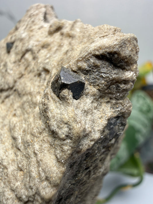 Dolomite var. Teruelite- Barranco del Salobral (Barranco del Nabo), Teruel, Aragón, Spain