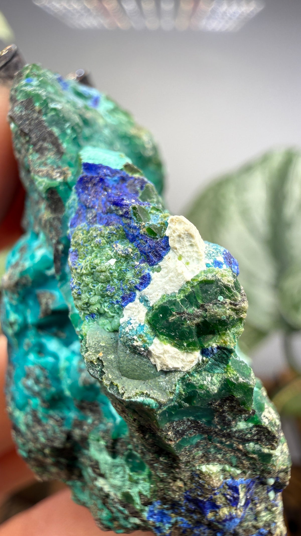 Chrysocolla, Azurite- Arizona, USA