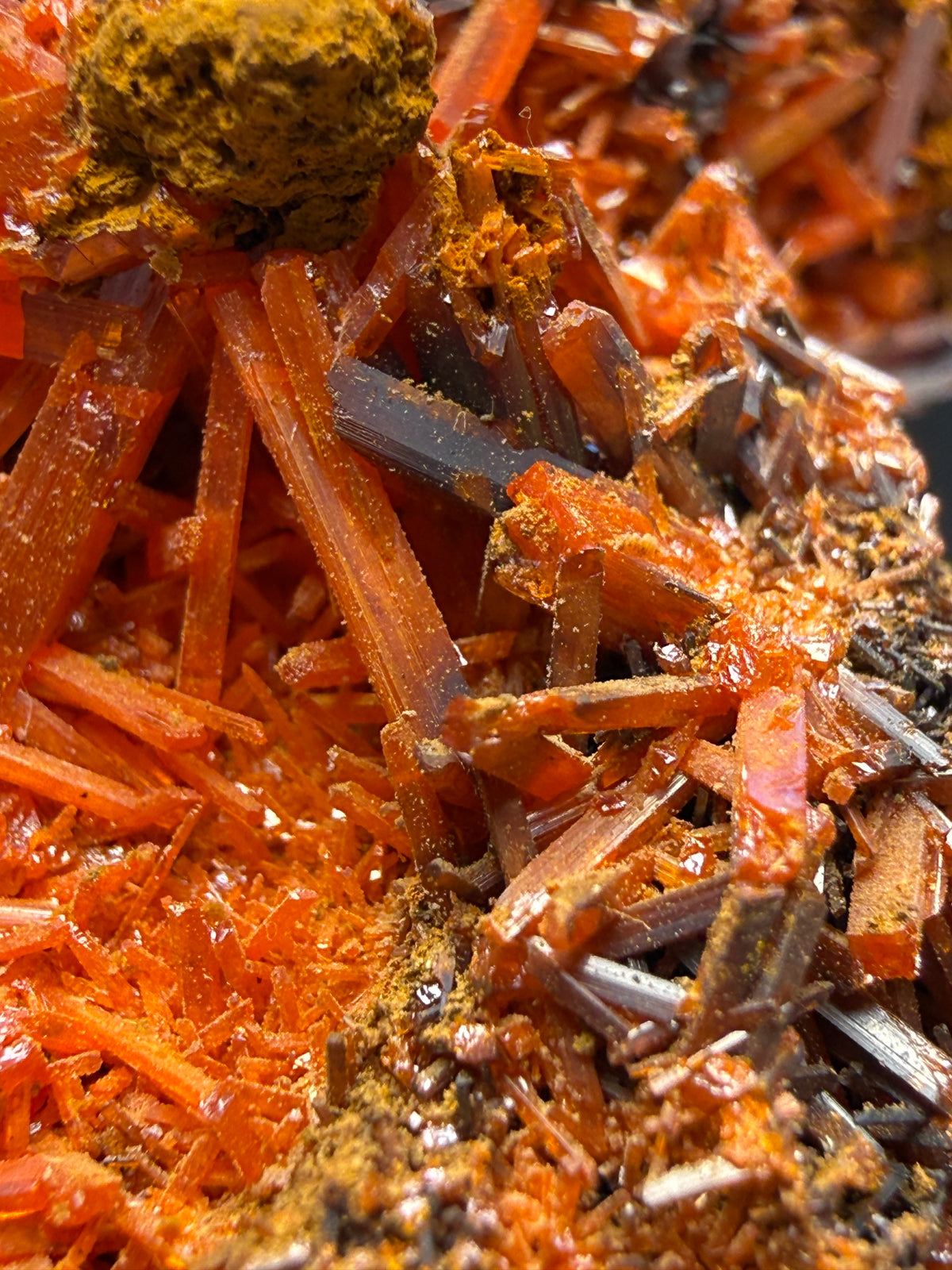 Crocoite- Dundas, Tasmania, Australia