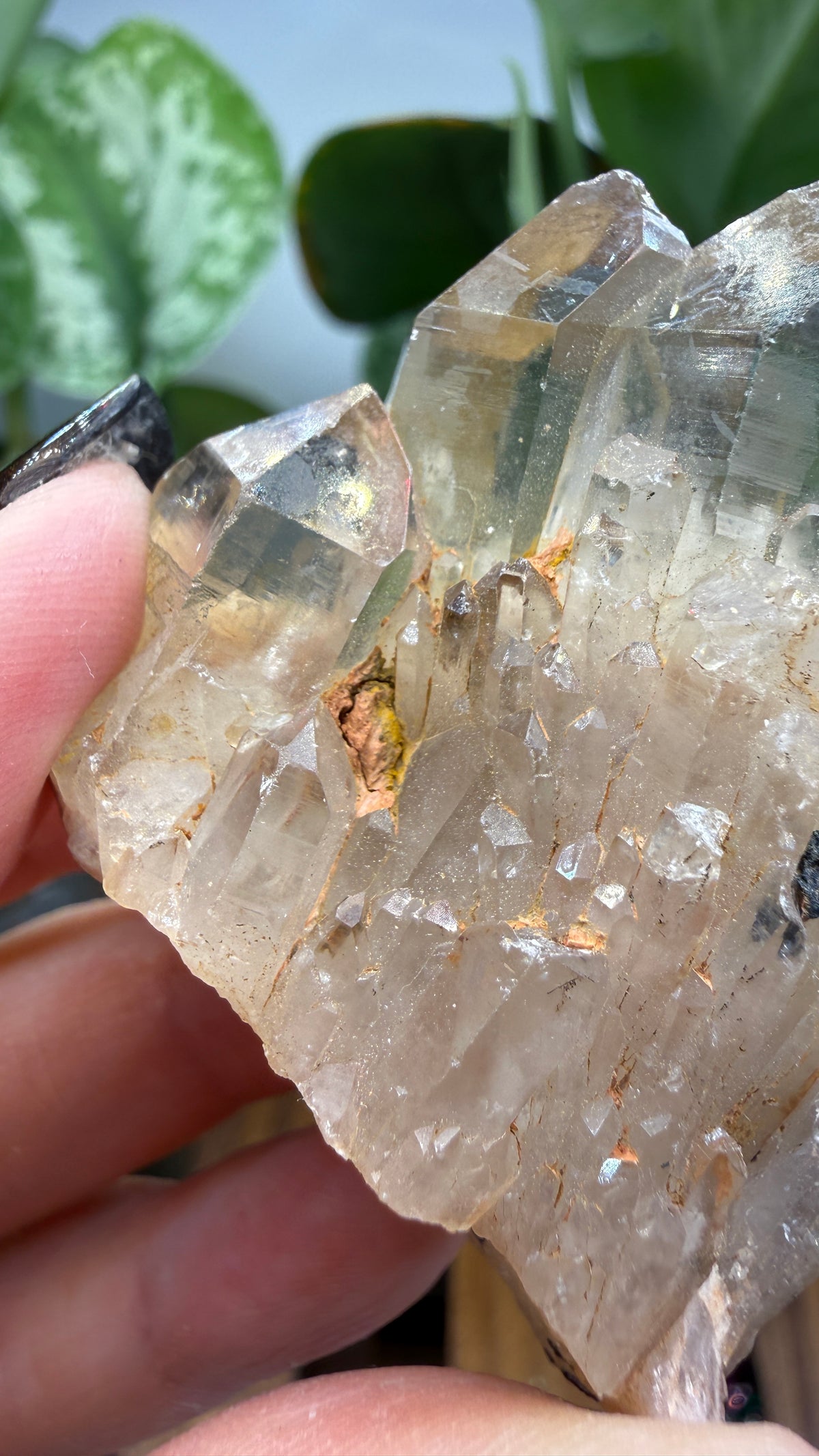 Citrine, var. Kundalini- Luena (Lwena), Democratic Republic of the Congo
