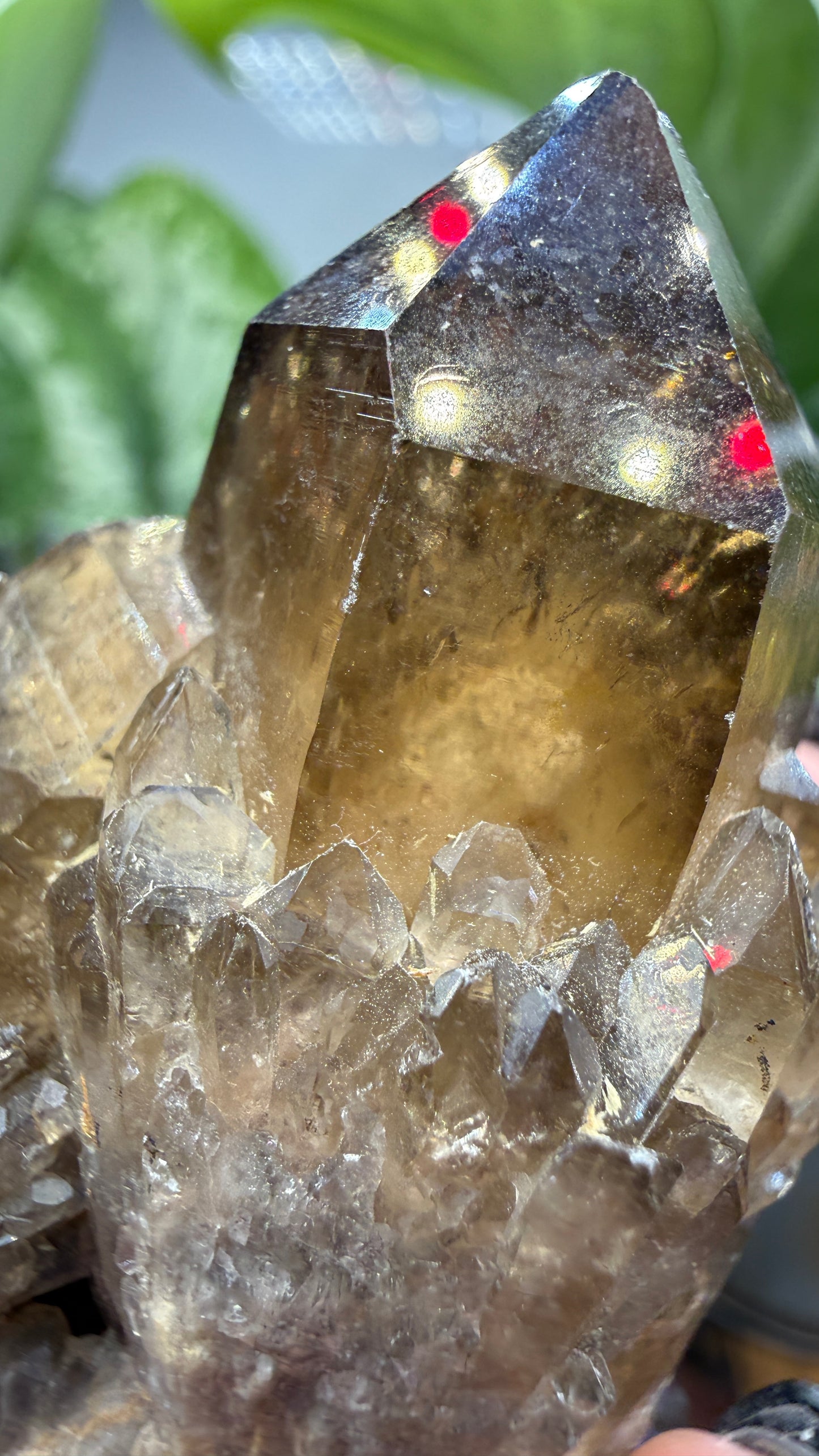 Citrine, var. Kundalini- Luena (Lwena), Democratic Republic of the Congo