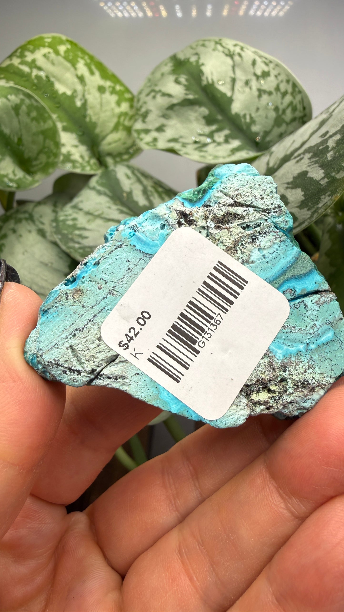 Malachite, Chrysocolla ("Malacholla")- Democratic Republic of the Congo (Slab)