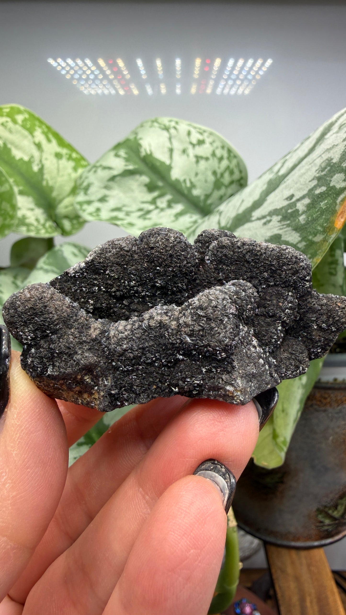 Siderite- Bisbee, Arizona