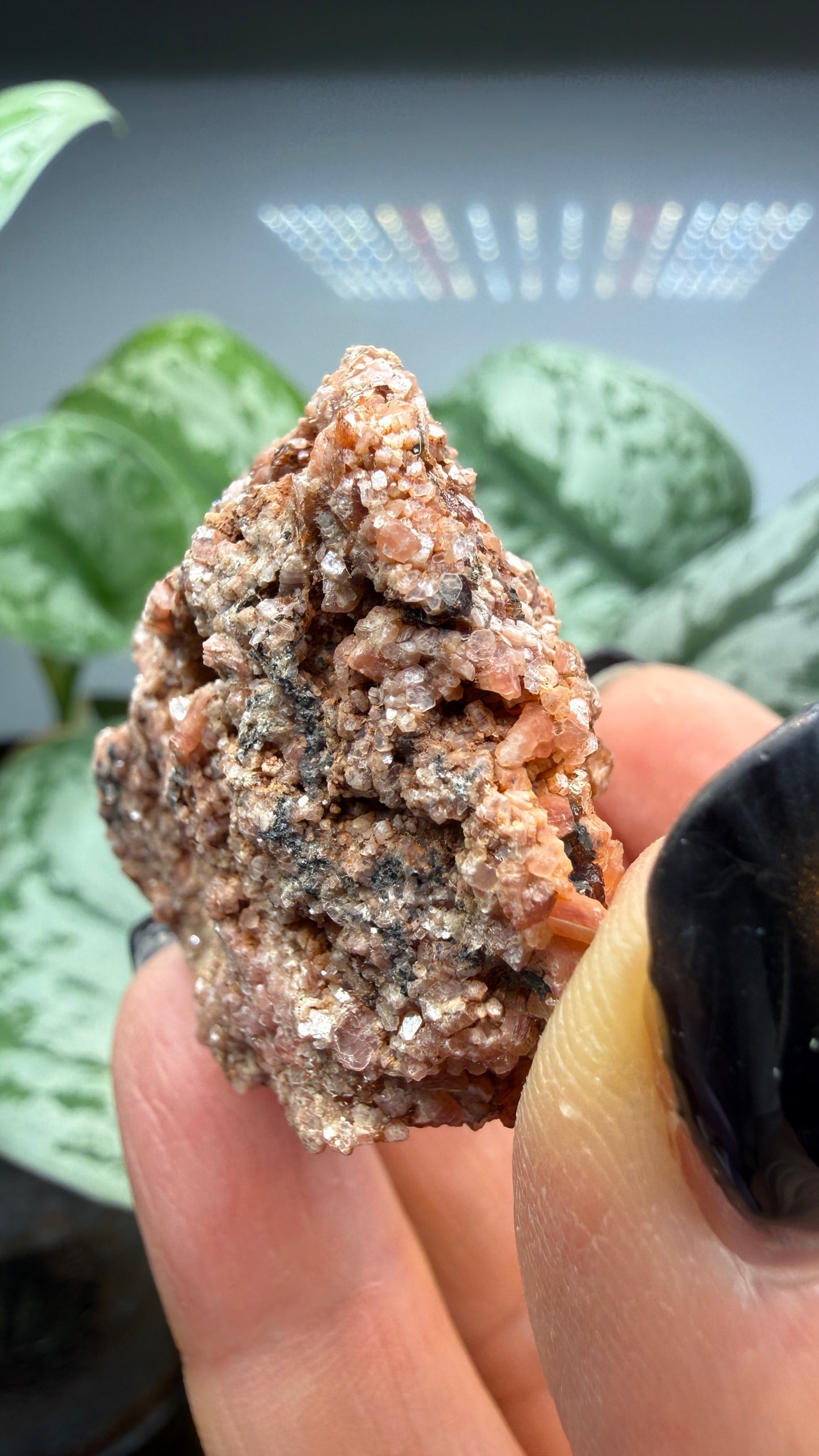 Ephesite- Postmasburg, Northern Cape Province, South Africa