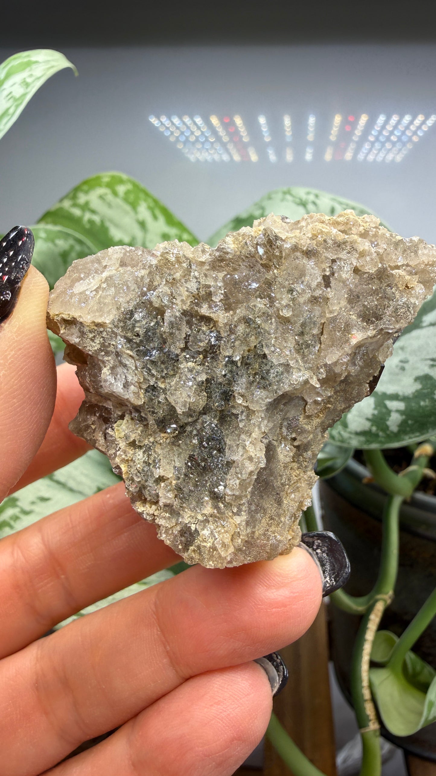 Smoky Quartz- Göschenenalp, Switzerland