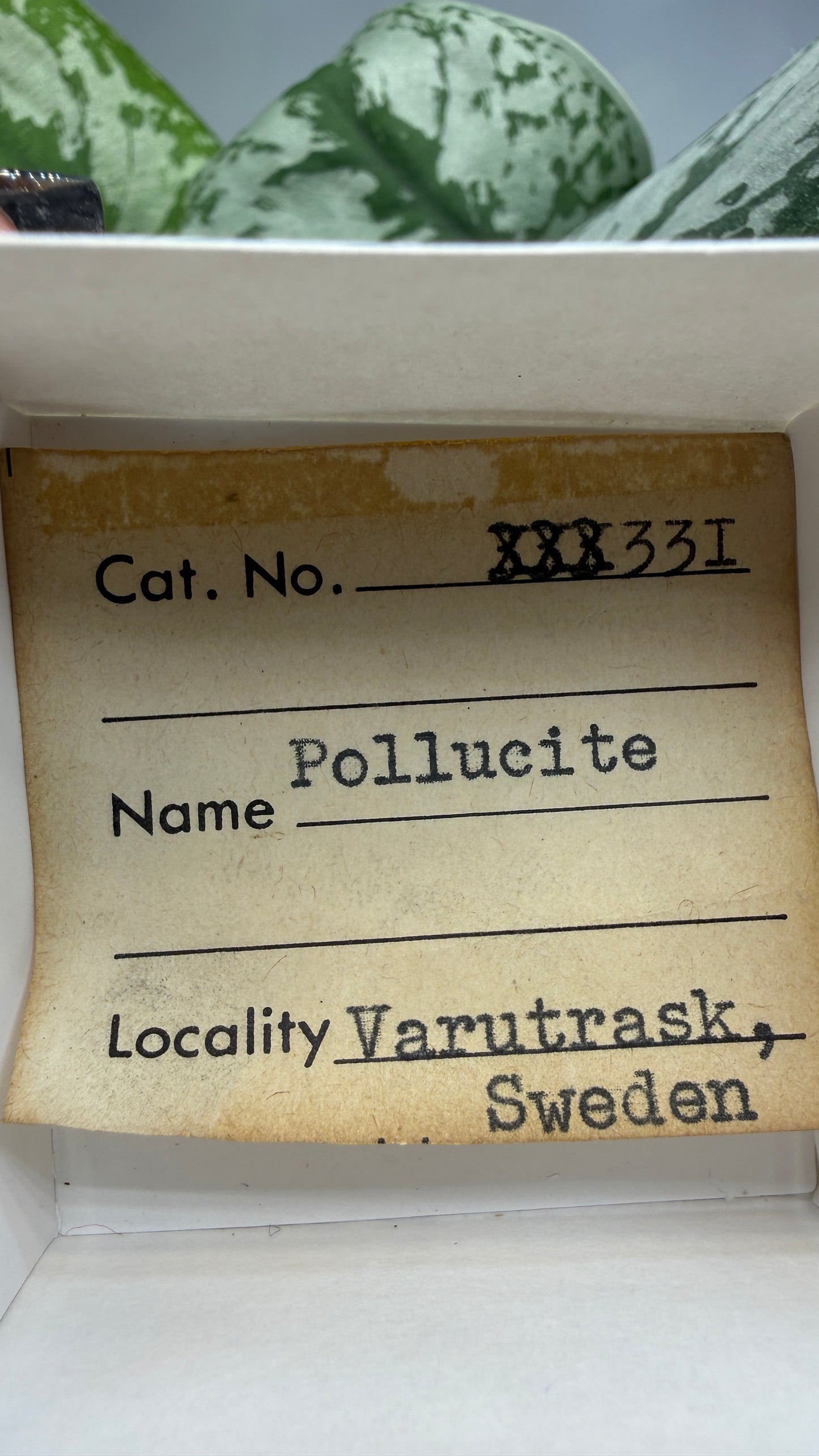 Pollucite- Varuträsk, Skellefteå, Västerbotten County, Sweden