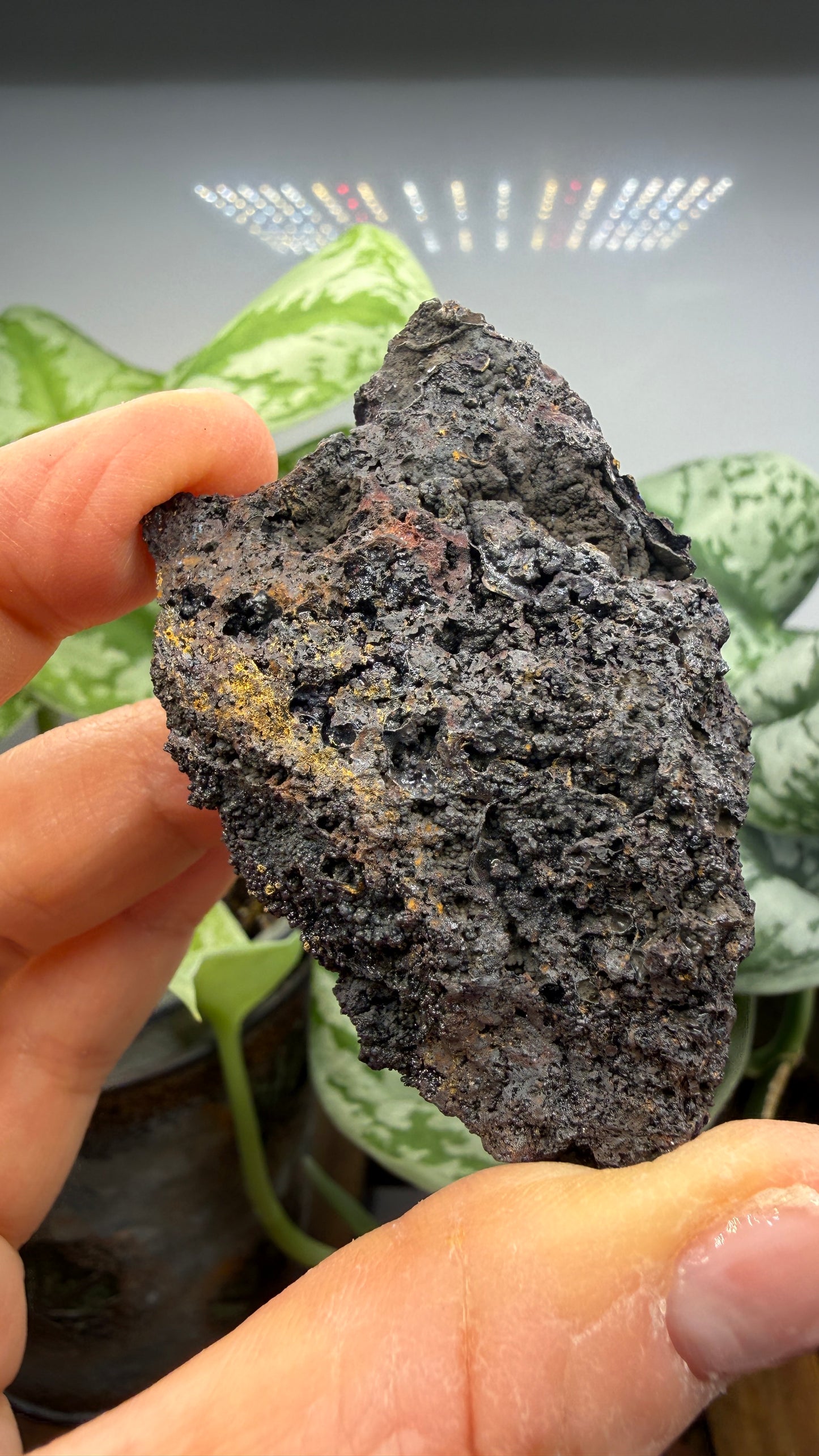 Azurite- Morenci Mine, Morenci, Greenlee County, Arizona, USA