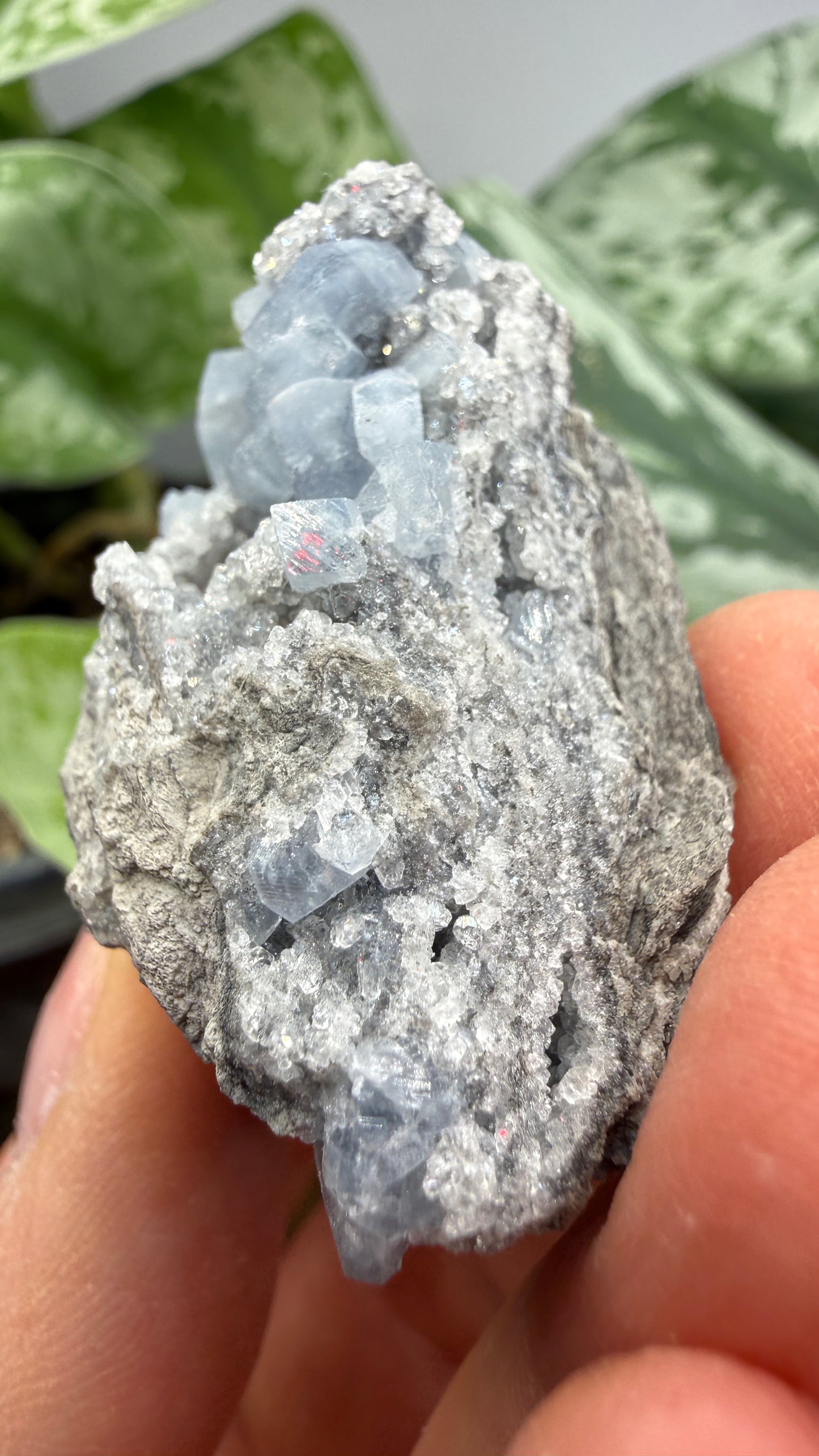 Celestine- Meckley's Quarry, Mandata, Northumberland County, Pennsylvania, USA