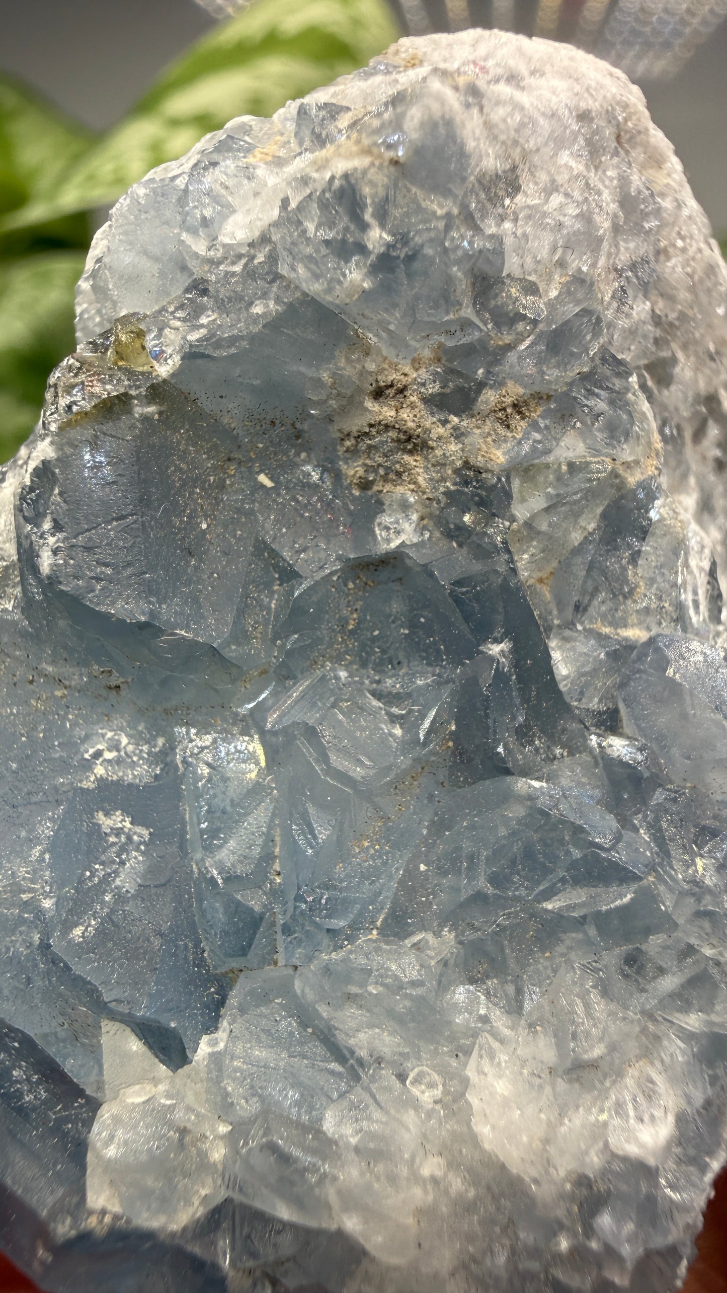 Celestine (Celestite) Geode/Cluster- Madagascar