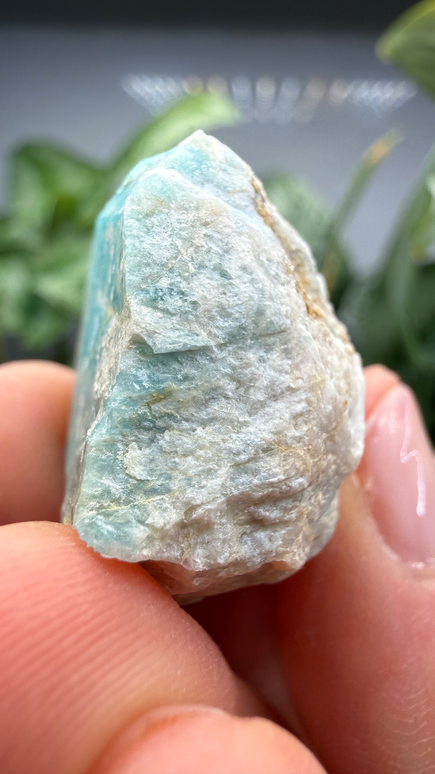 Amazonite- Lake George area, Pikes Peak, Teller County, Colorado, USA