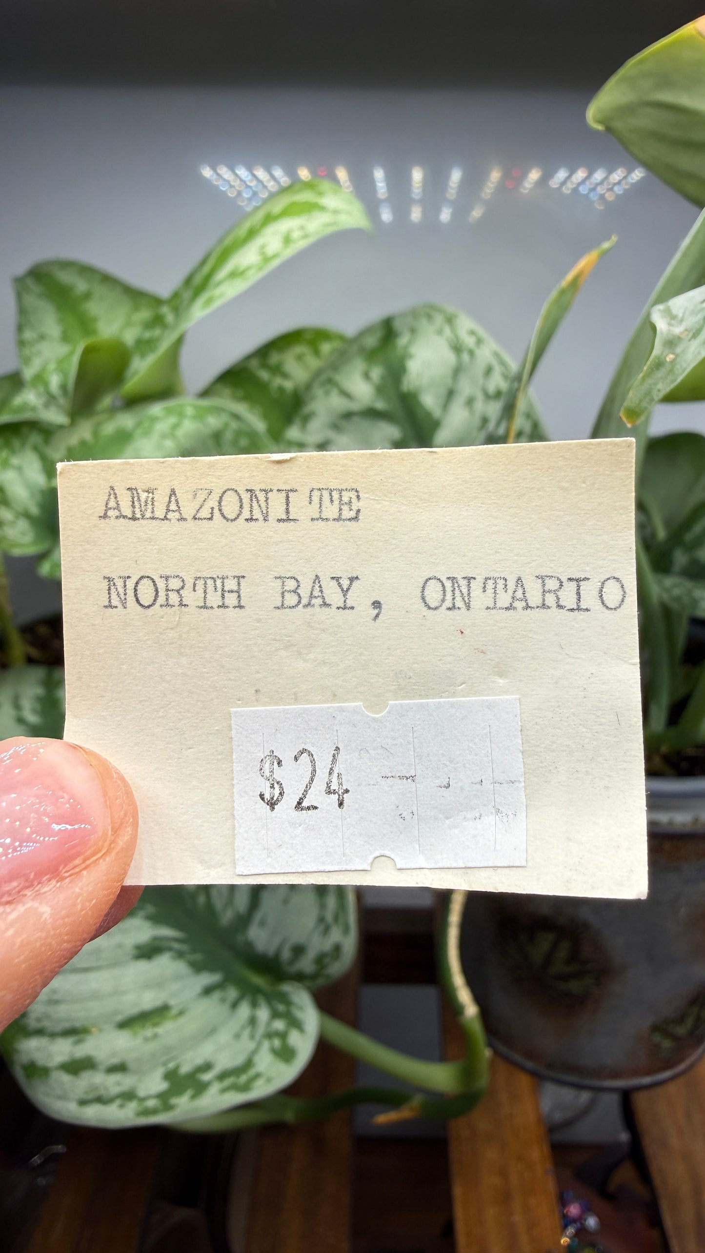 Amazonite- Ontario, Canada