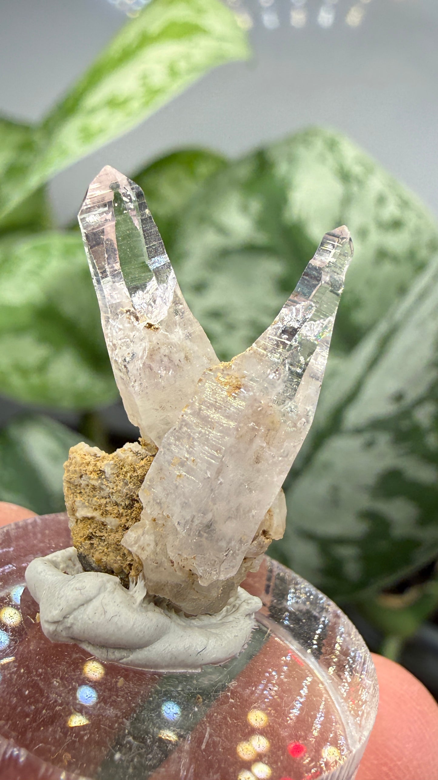 Amethyst- Las Vigas de Ramírez Municipality, Veracruz, Mexico