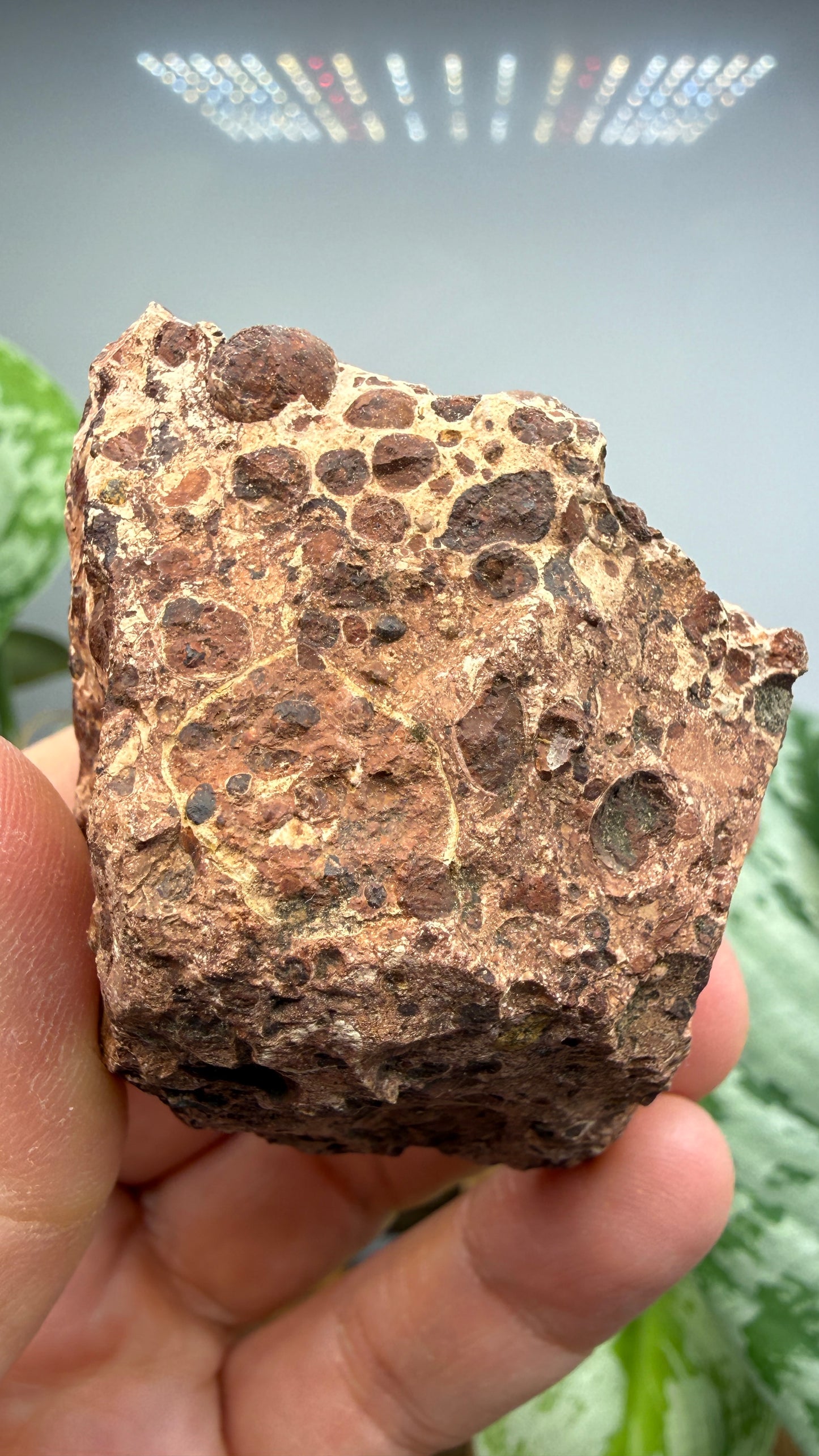 Bauxite- La Llacuna-Mediona area, Barcelona, Catalonia, Spain