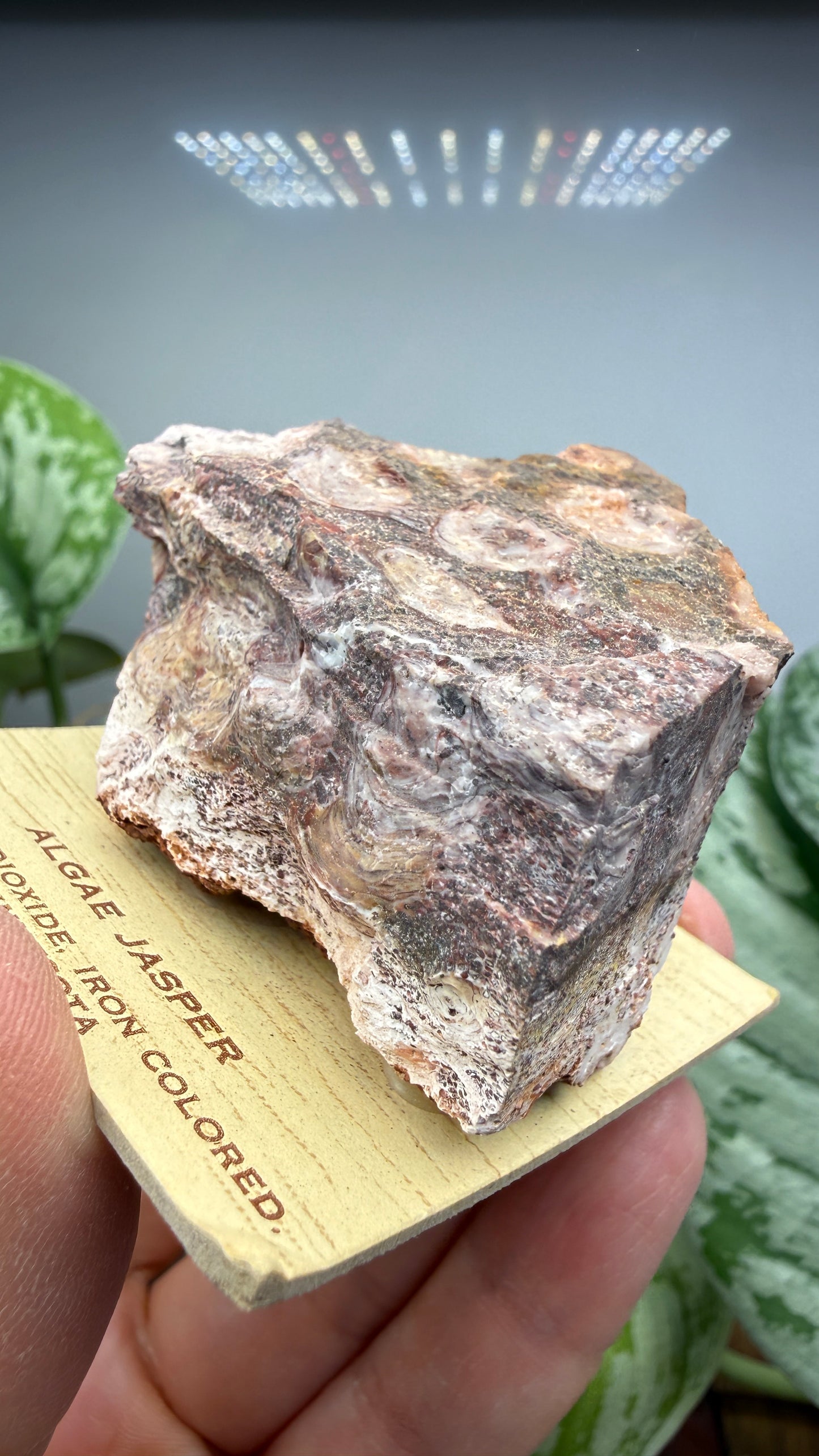 Algae Jasper/Stromatolitic Jasper– Minnesota