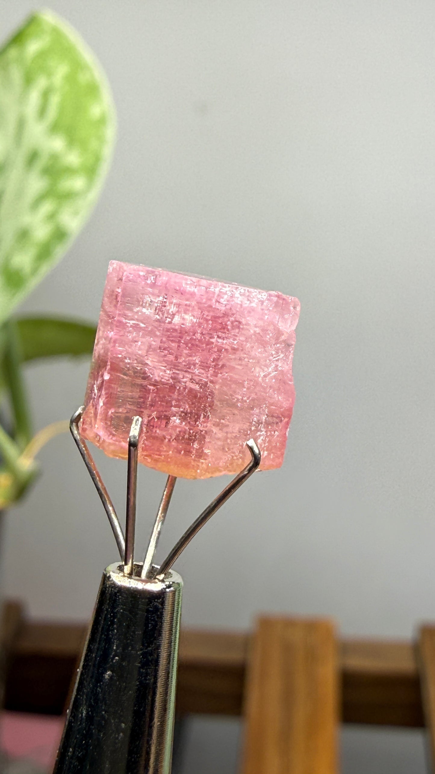 Tourmaline- Água Branca pegmatite, Barra do Salinas, Coronel Murta, Minas Gerais, Brazil