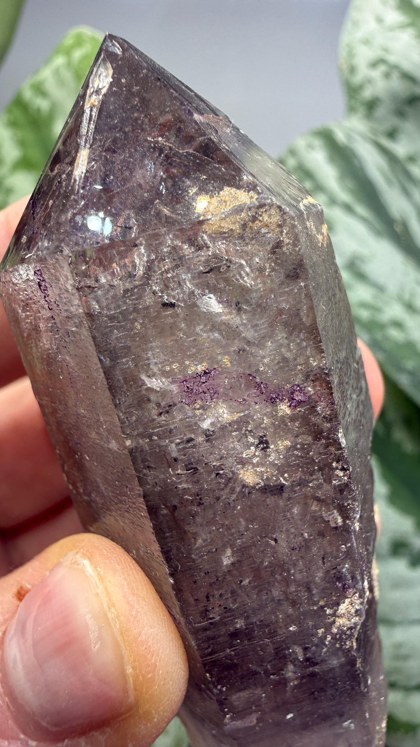 Quartz Enhydro (fluid and carbonaceous inclusions)