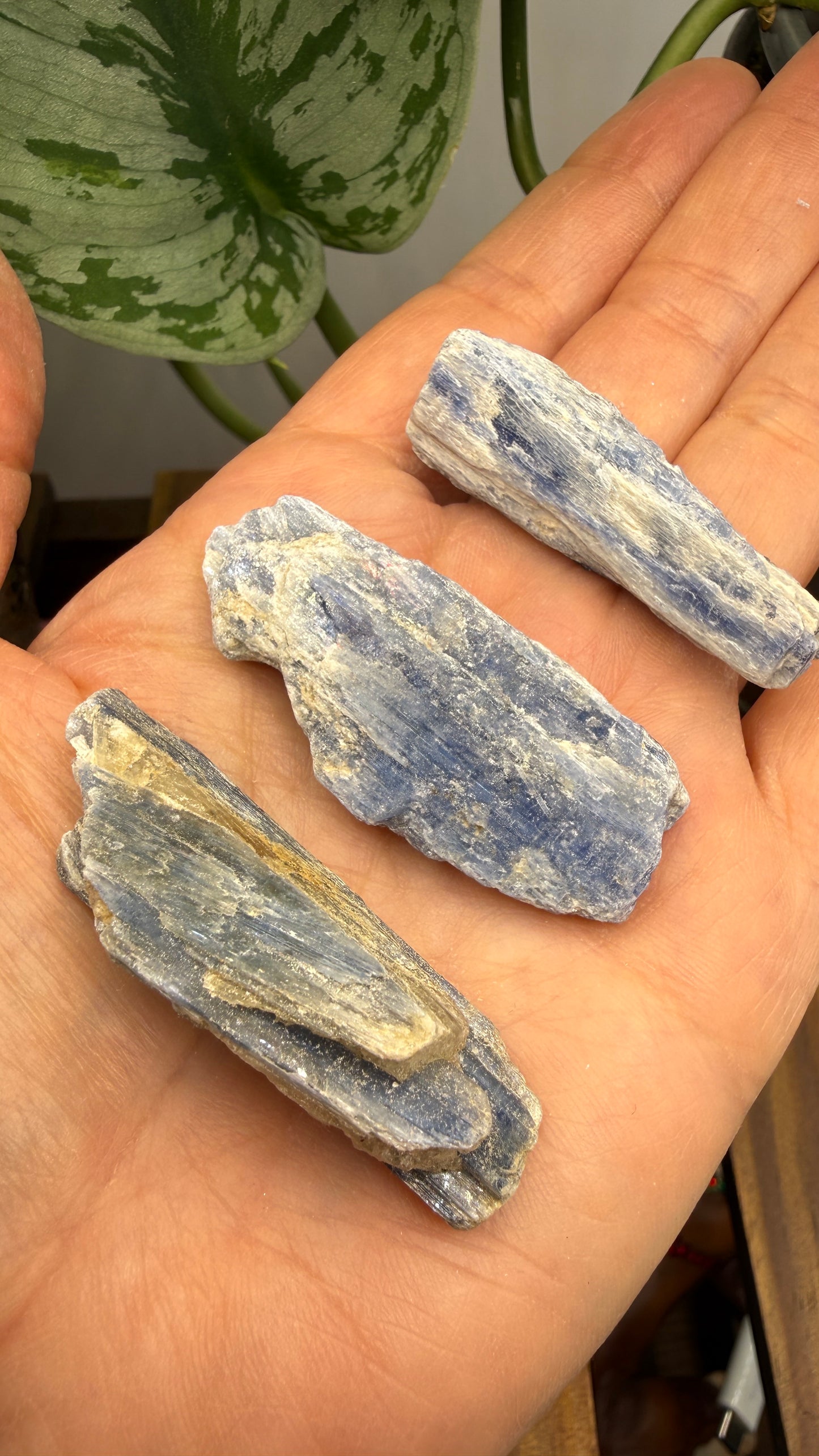 Blue Kyanite Parcel