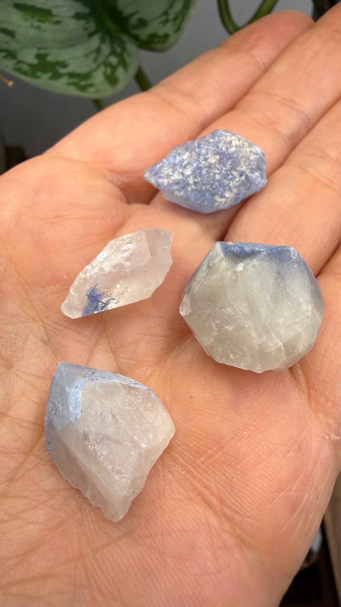 Dumortierite in Quartz Parcel- Vaca Morta quarry, Serra da Vereda, Bahia, Brazil