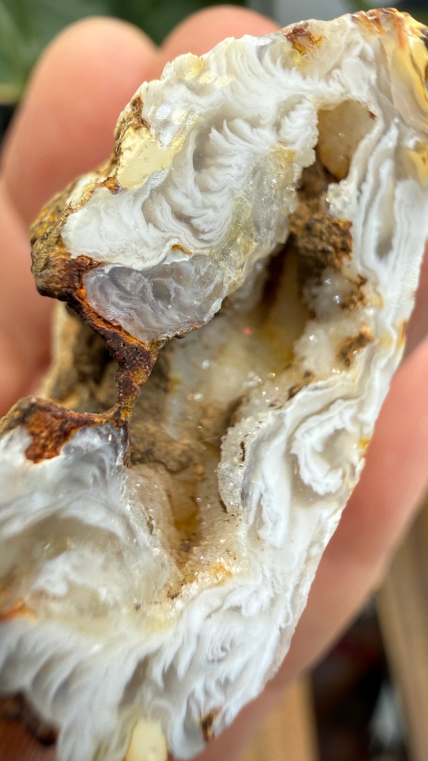 Polished Agate Geode Half with Druzy Quartz