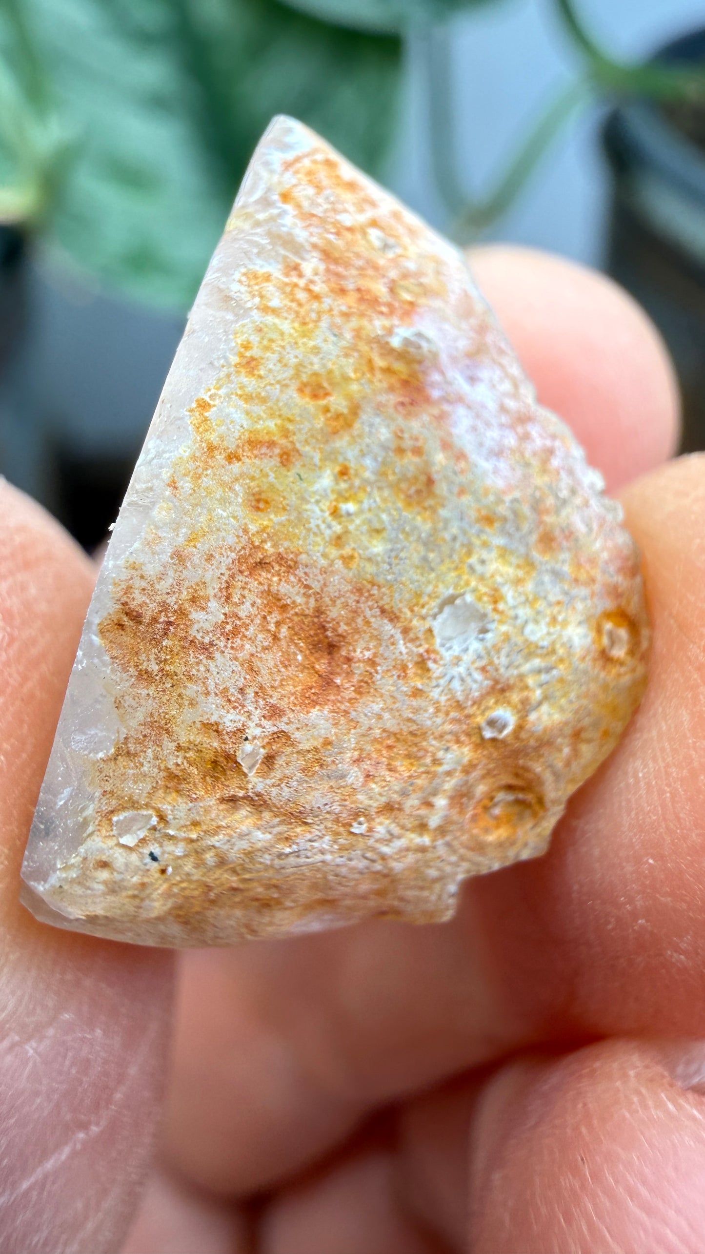 Polished Agate Geode Half with Druzy Quartz