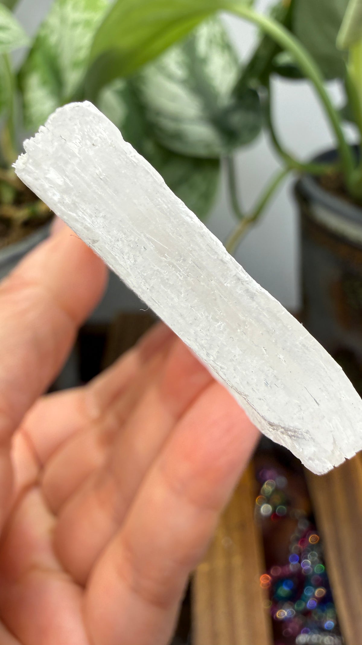 Natural Raw Selenite Plate- 4.3 inches wide- Super clear high quality slab