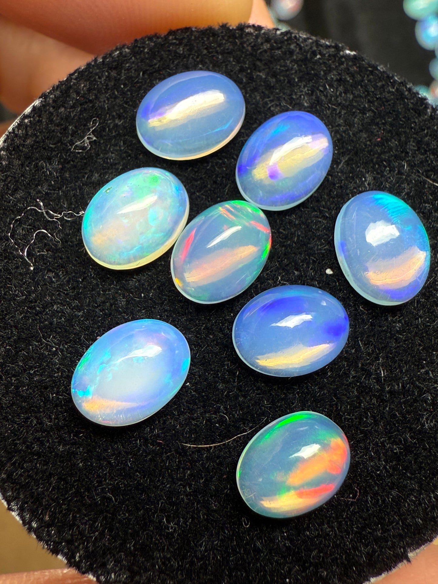 Welo Opal Cabochon LOT: 6.78ct total