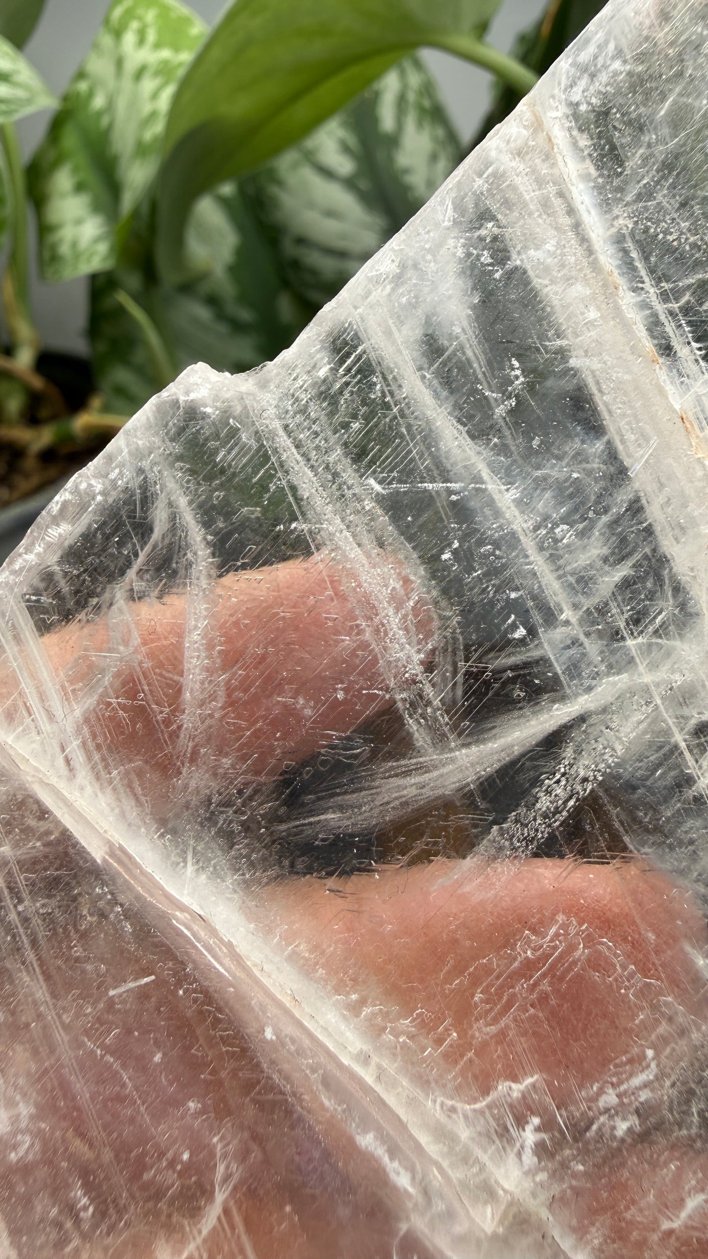 Natural Raw Selenite Plate- 5.6 inches wide- Super clear high quality slab
