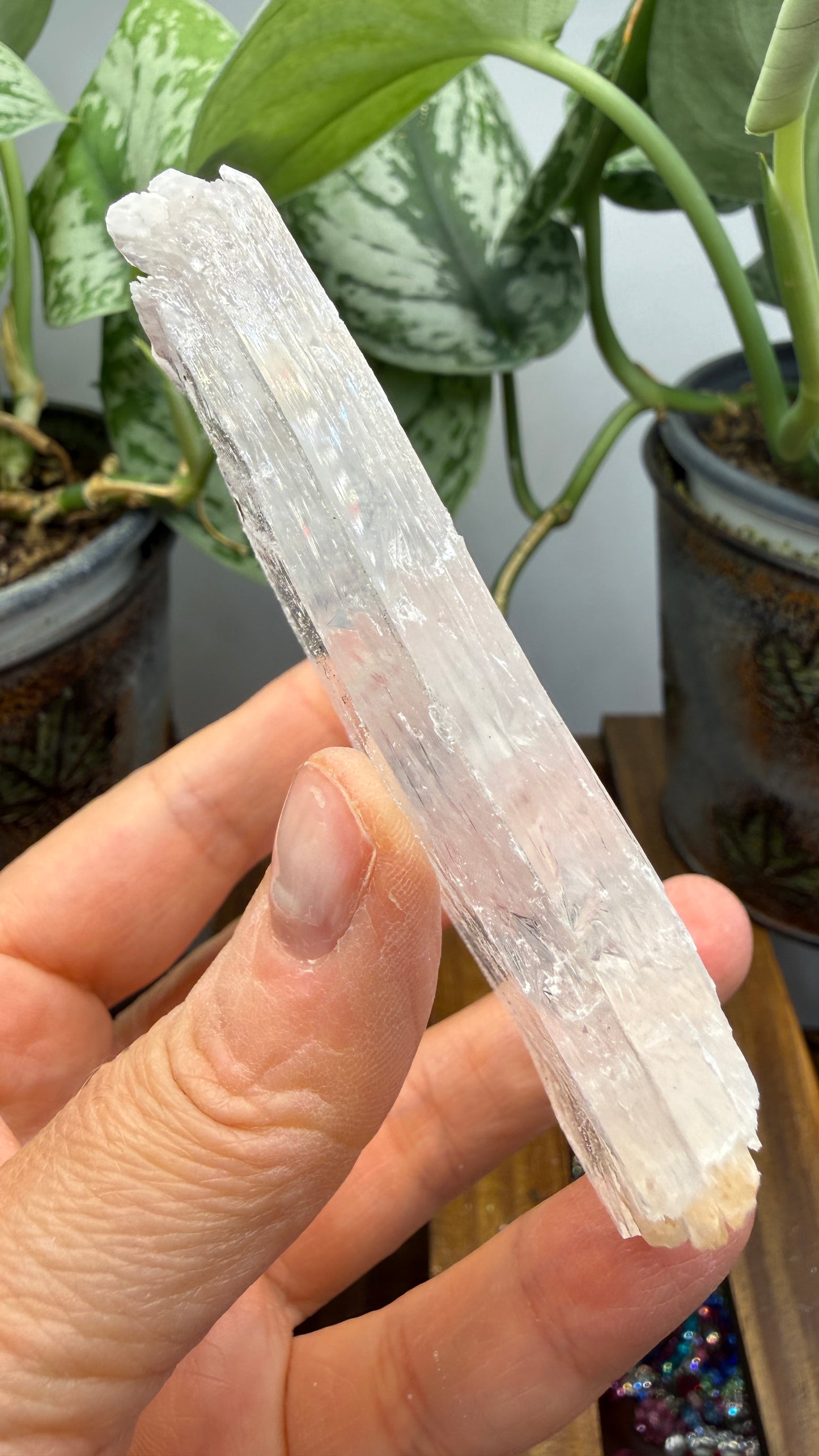 Natural Raw Selenite Plate- 3.3 inches wide- Super clear high quality slab