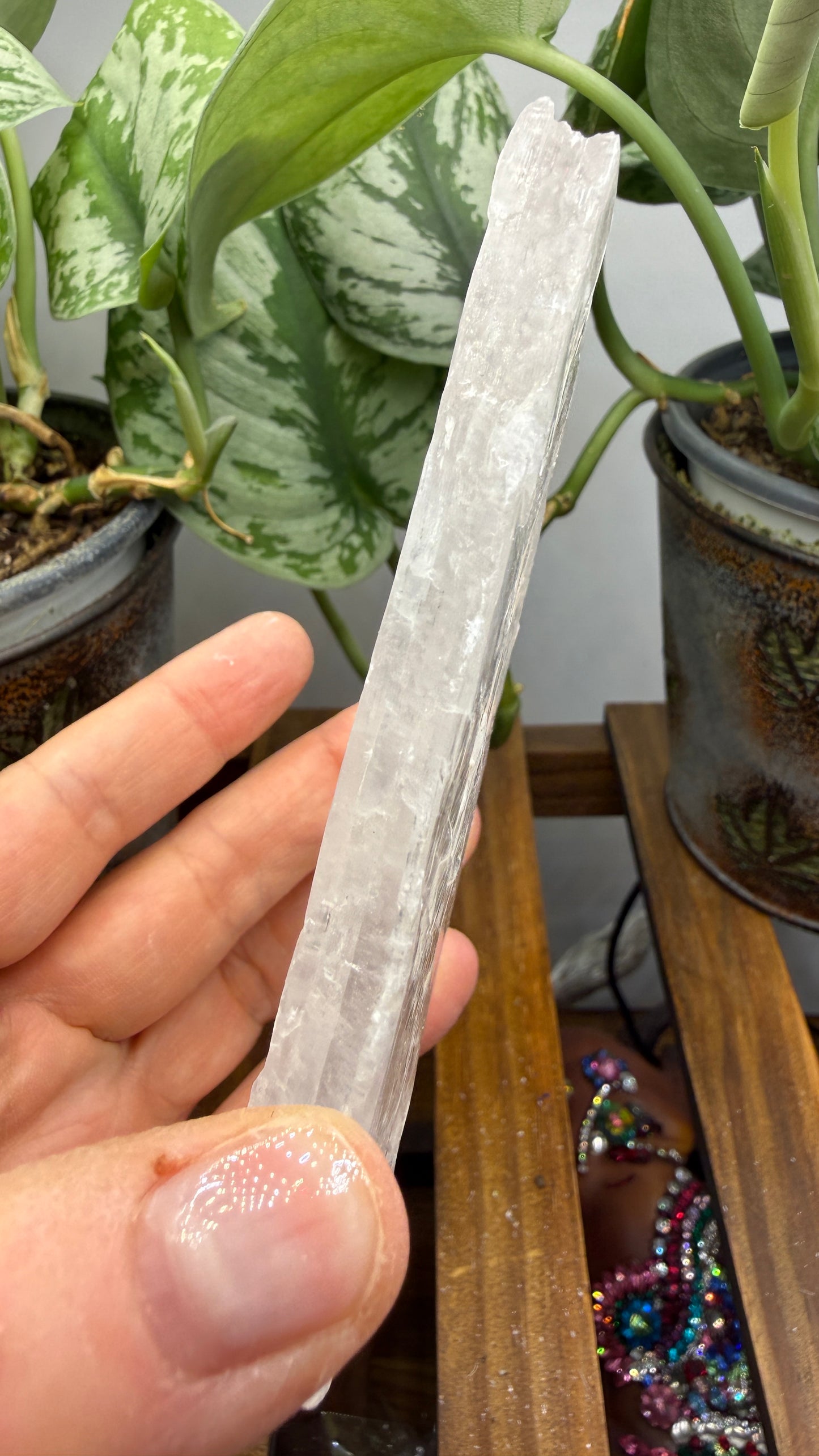 Natural Raw Selenite Plate- 3.9 inches wide- Super clear high quality slab