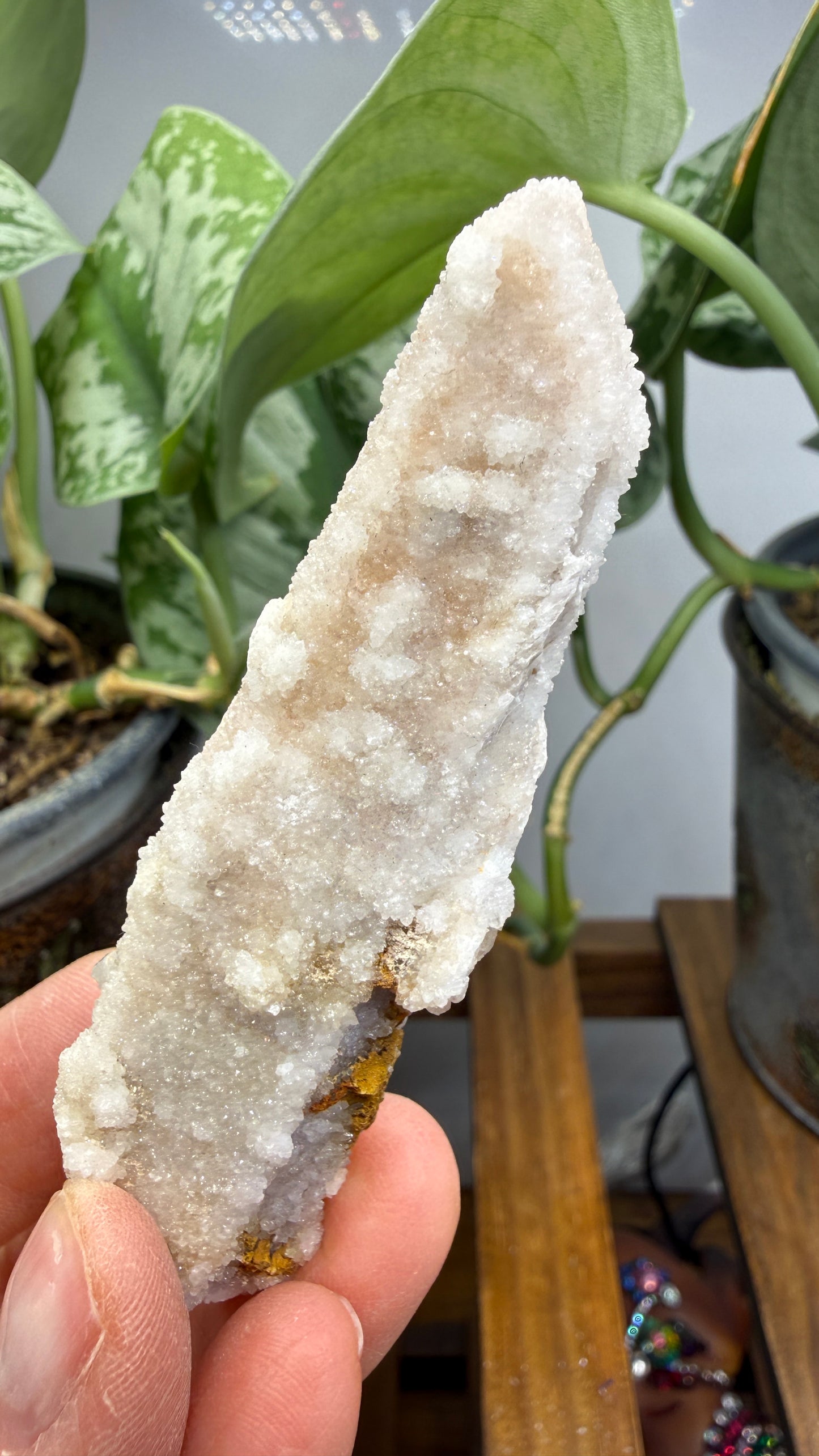 Witch’s Finger Druzy Quartz (White Cactus Quartz)- Boekenhouthoek, South Africa
