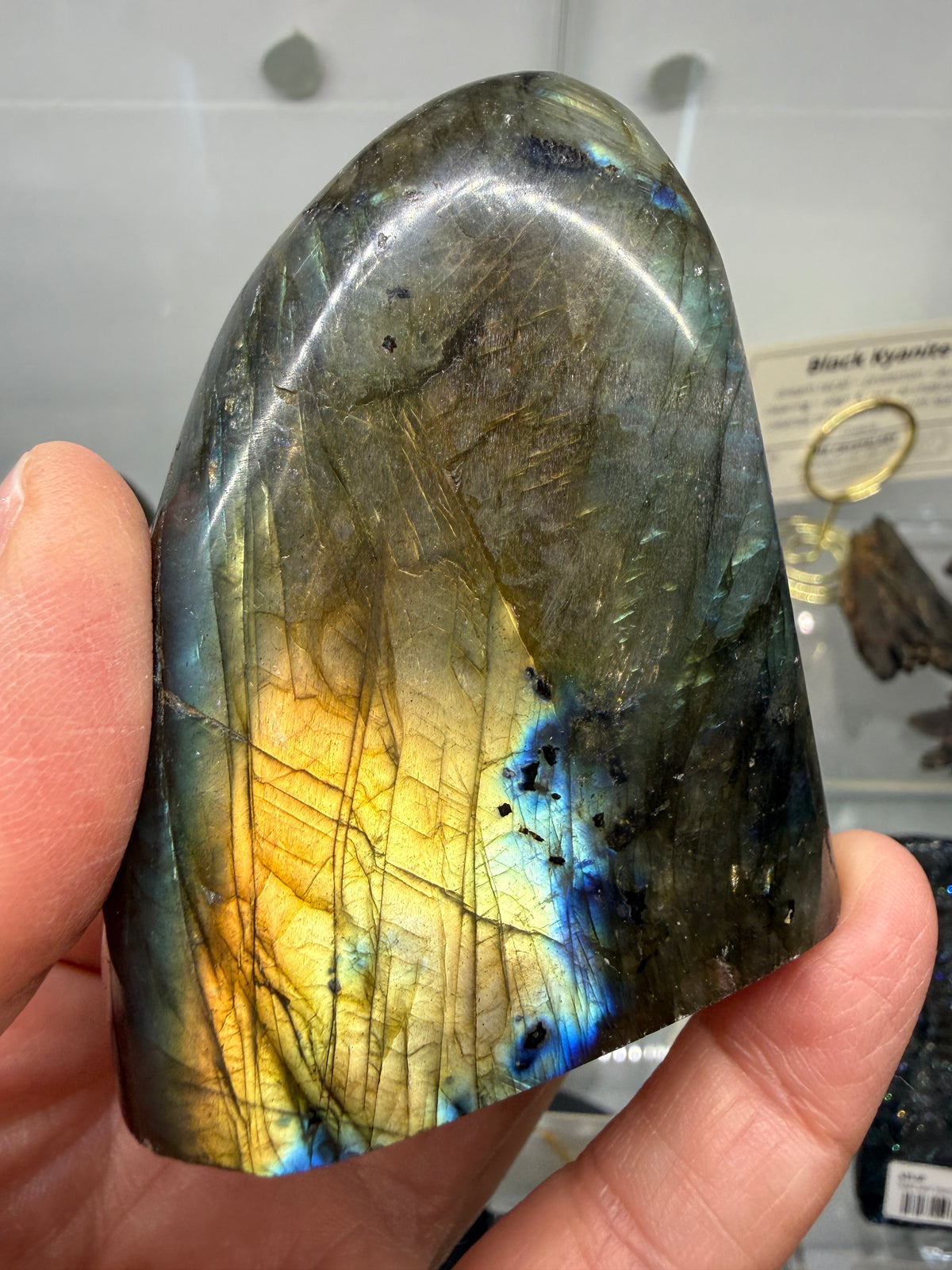 Labradorite Freeform with Blue & Yellow Flash- 2.7" inches