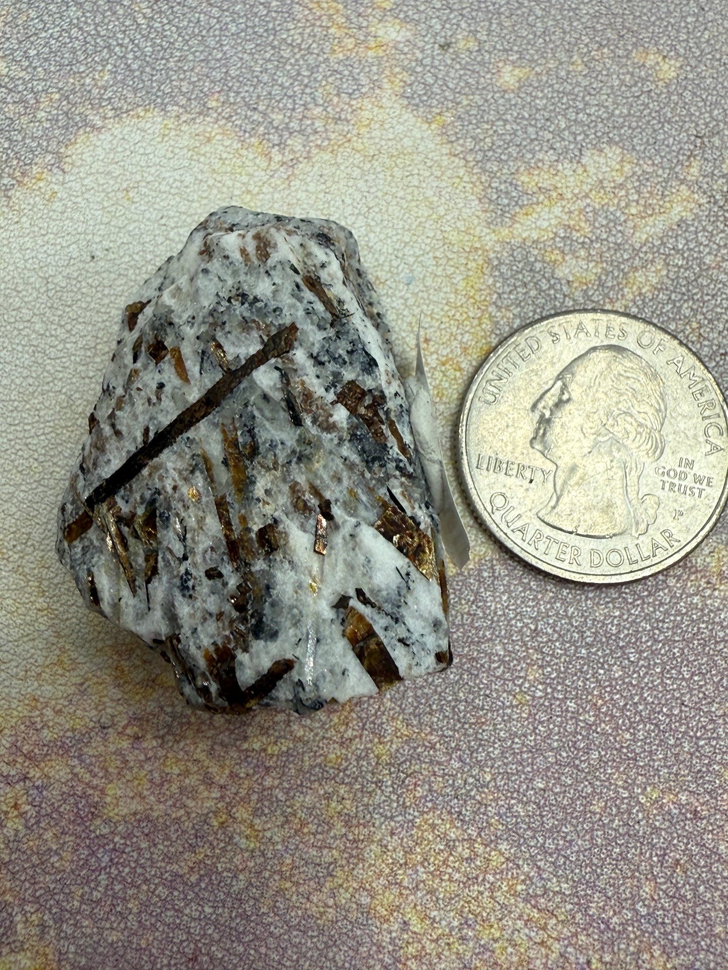 Astrophyllite- Khibiny Massif, Murmansk Oblast, Russia