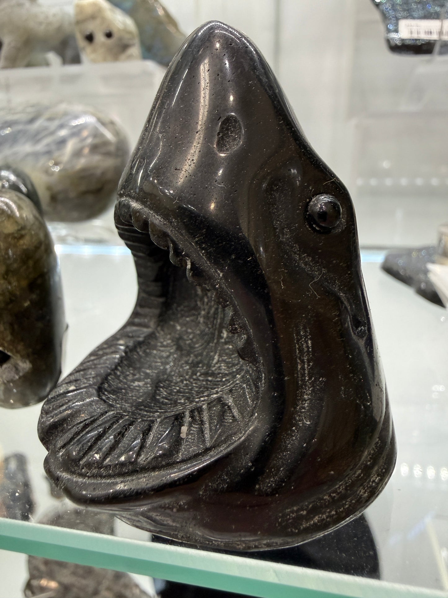 Obsidian Biting Shark- 2.6 inches
