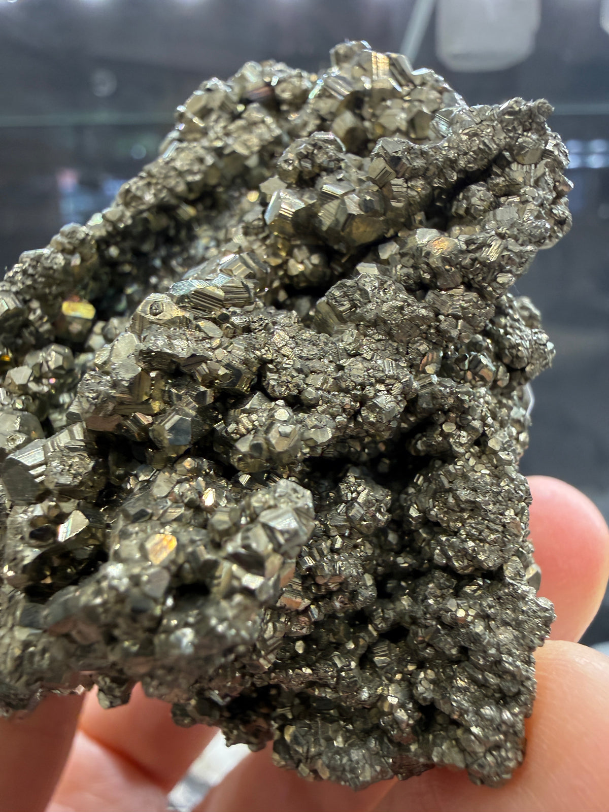 Pyrite- Huanzala Mine, Huallanca District, Bolognesi Province, Ancash, Peru