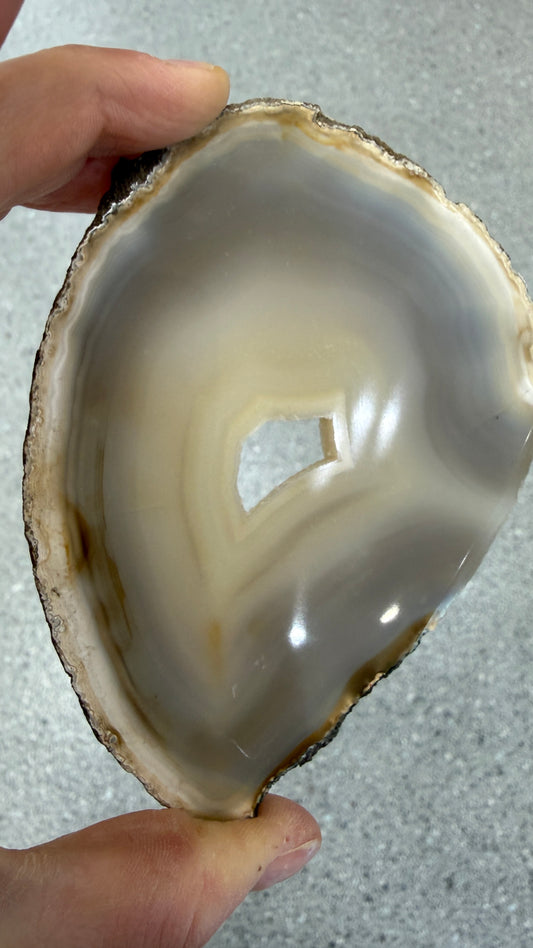 Agate Slice- Brazil