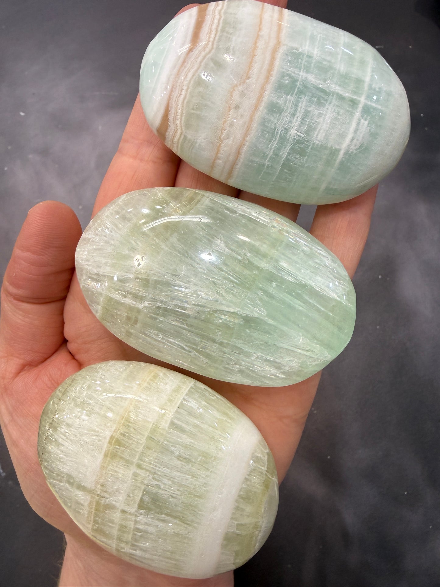 Caribbean Calcite Palms