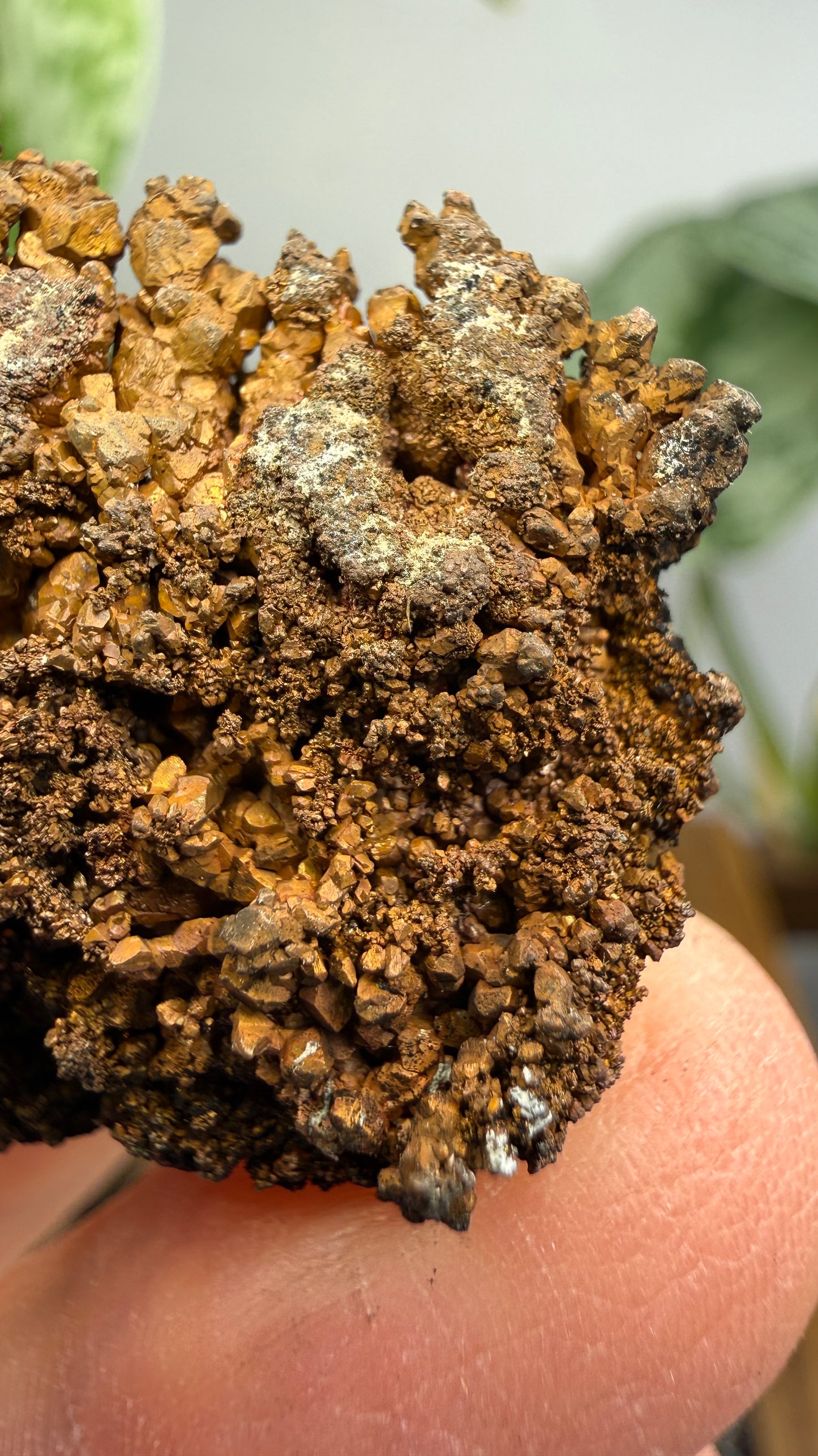 Native Copper- Nacozari, Sonora, Mexico