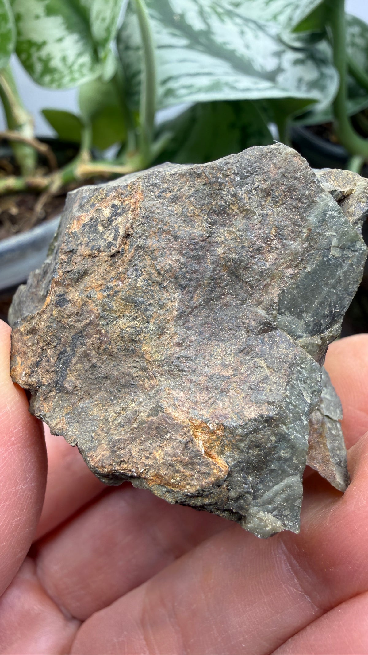 Triphylite- Parker Mountain Mine, Parker Mountain, Strafford County, New Hampshire, USA