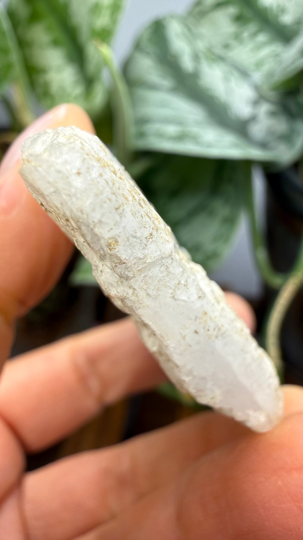 Celestine- Clay Center, Allen Township, Ottawa County, Ohio, USA