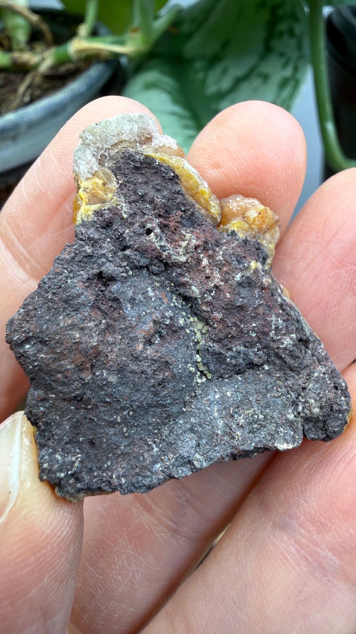 Mimetite- Bilbao Mine, La Blanca, Ojocaliente, Zacatecas, Mexico