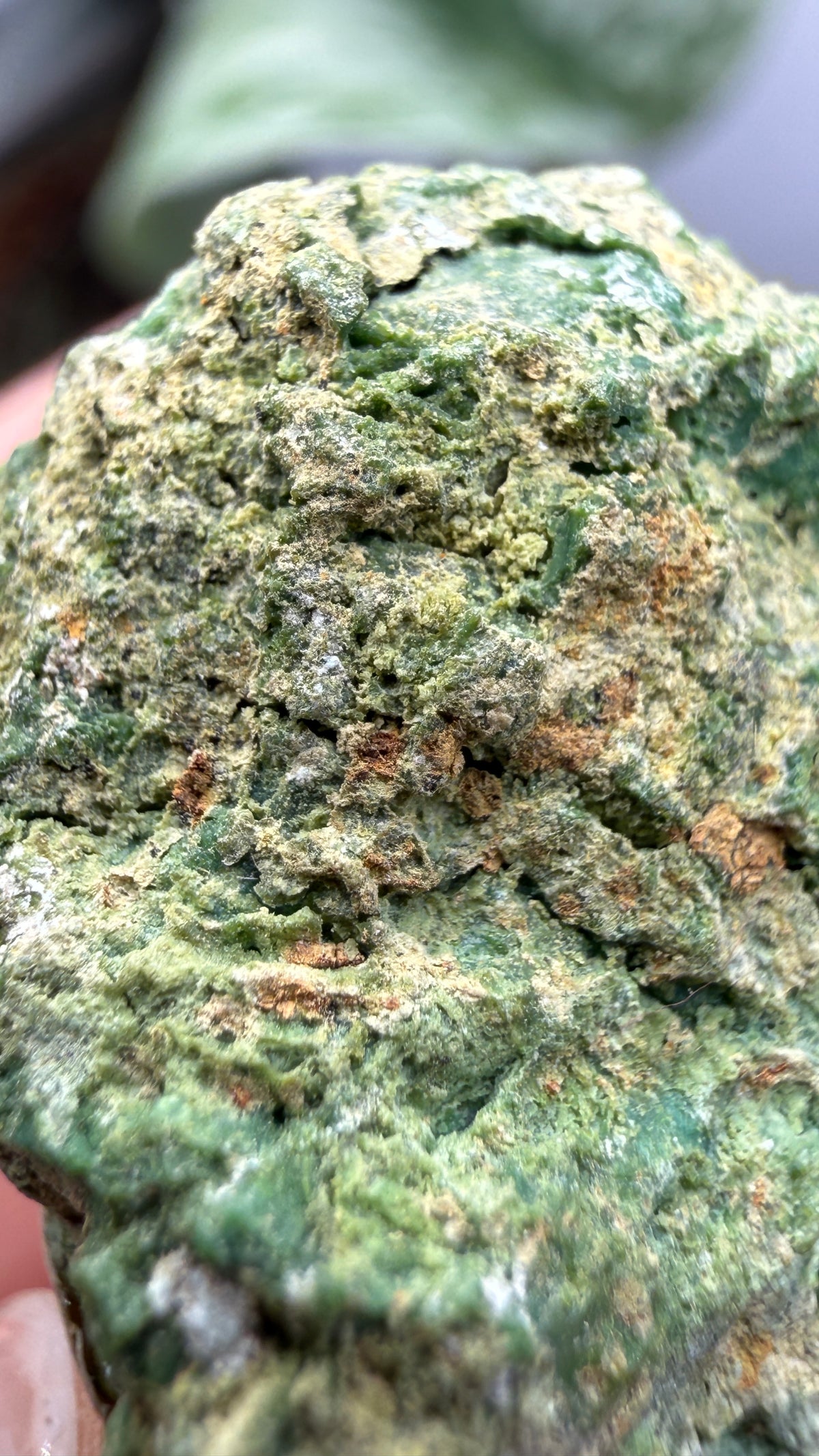 Annabergite with Dixenite- Cottonwood Canyon, Churchill County, Nevada, USA