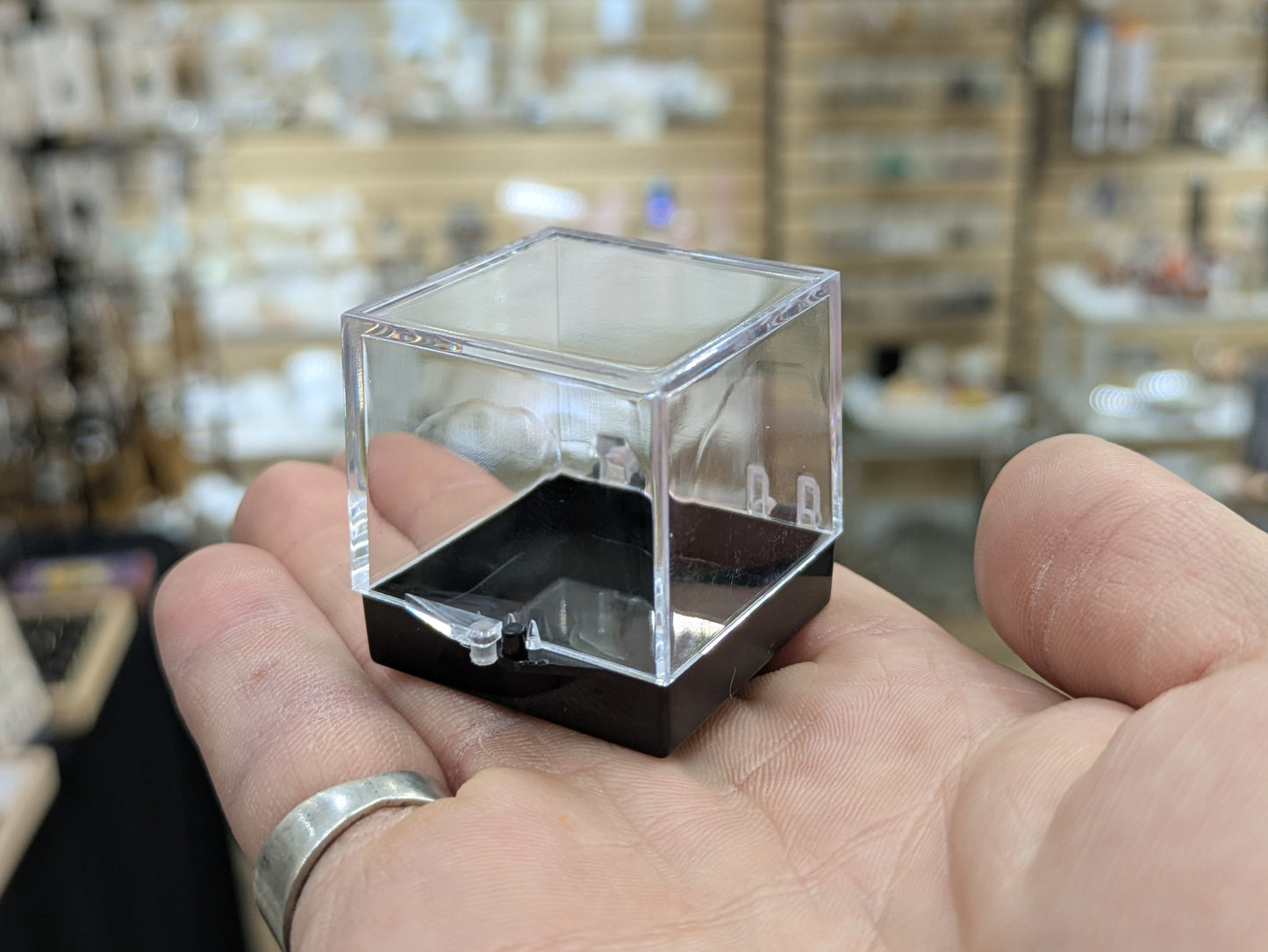 Plastic Perky Thumbnail Mineral Specimen Container