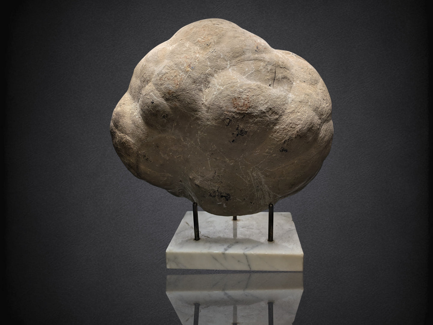 SEPTARIAN NODULE- Polished Face Half- Utah