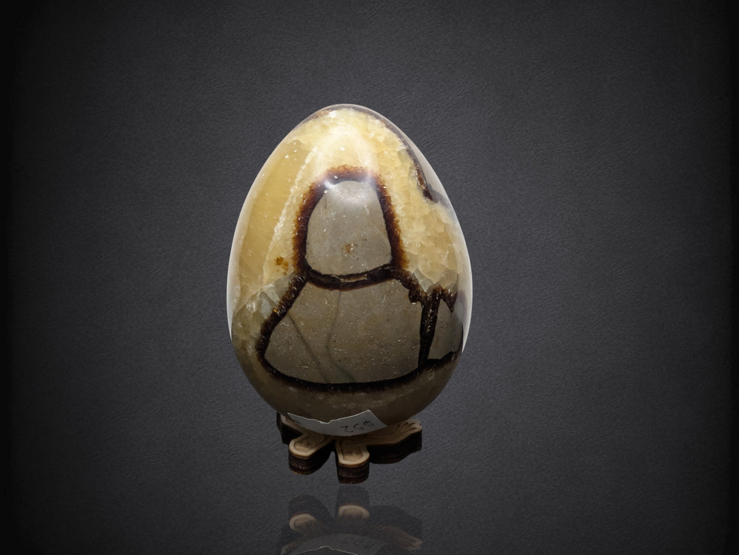 SEPTARIAN NODULE "Dragon Egg" - Morocco