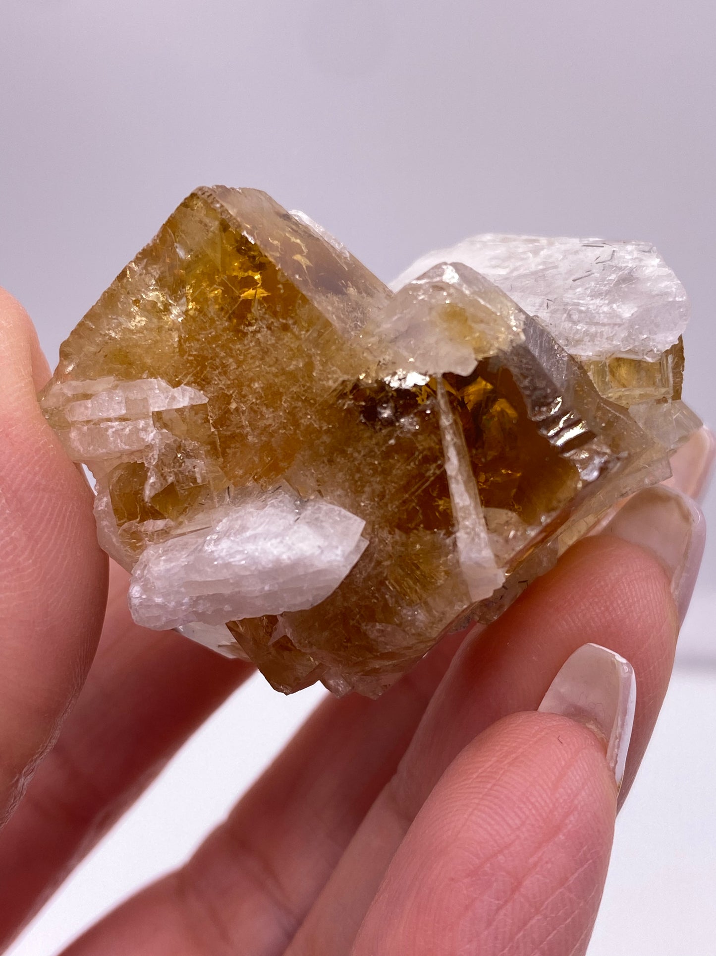 A close-up of a hand holding a translucent, golden-brown fluorite crystal with white, shard-like protrusions from The Crystalary. Resembling root beer fluorite, the crystal from Clay Center, Township of Allen, Ottawa County, Ohio has a rough, multi-faceted texture that reflects light. The background is plain and out of focus, emphasizing the intricate details of the Fluorite and Celestite specimen.