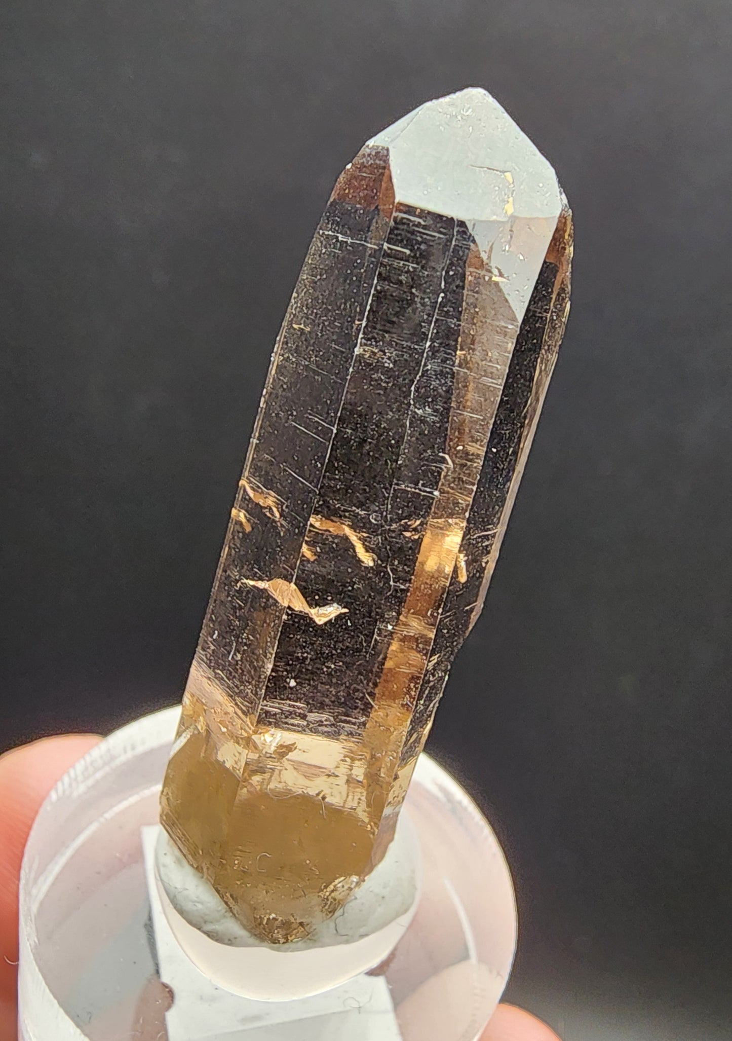 Smoky Quartz- Galenstock, Tiefenbach, Realp, Urseren, Uri, Switzerland