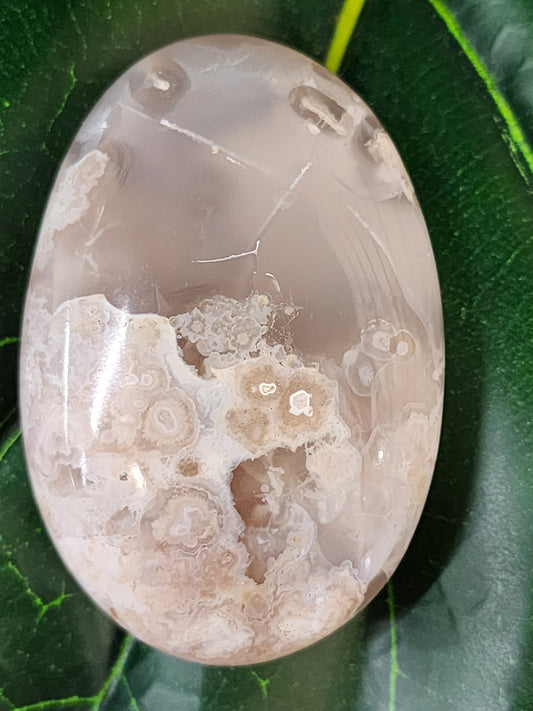 Flower Agate Palm Stone - 2.6"