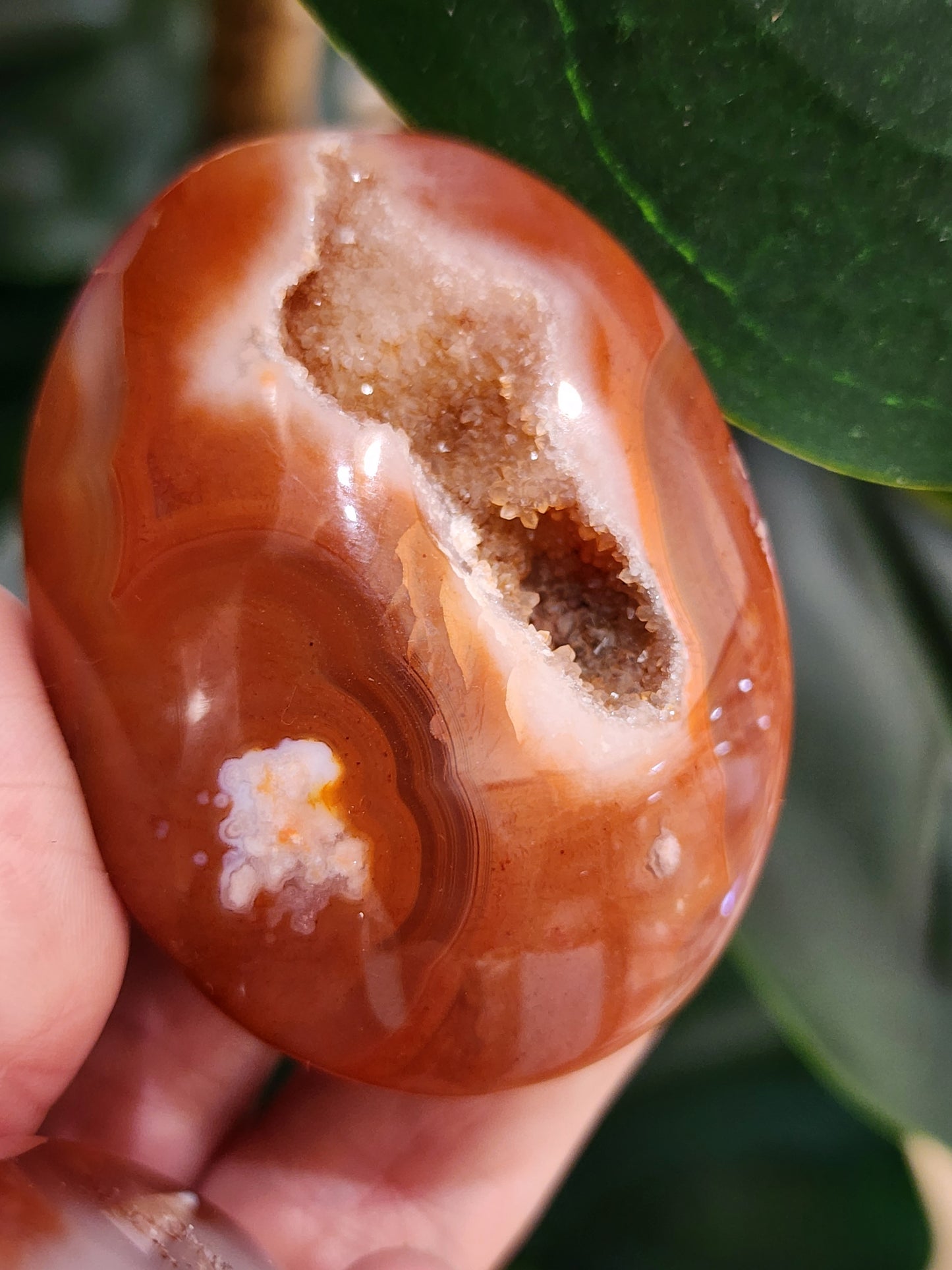 Druzy Carnelian Palm Stone