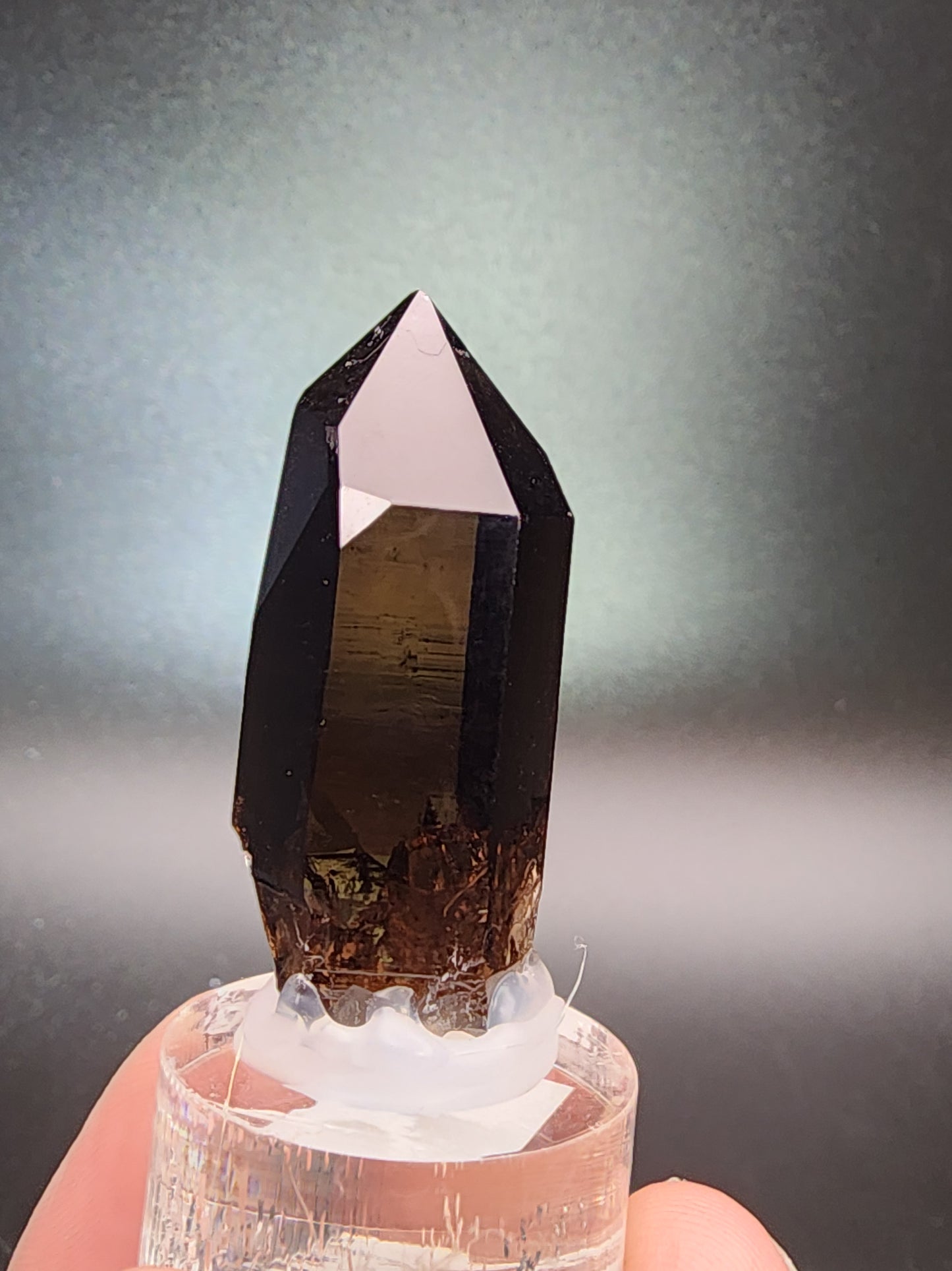 Smoky Quartz- Galenstock, Tiefenbach, Realp, Urseren, Uri, Switzerland